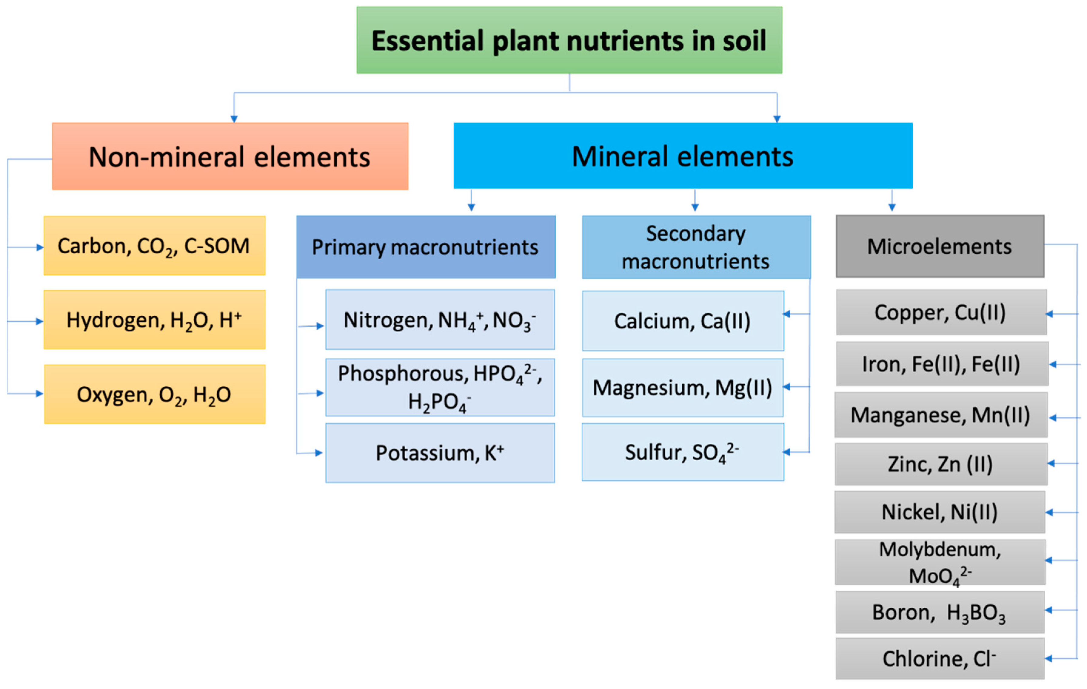Analyzed content of crude nutrients and selected AAs of