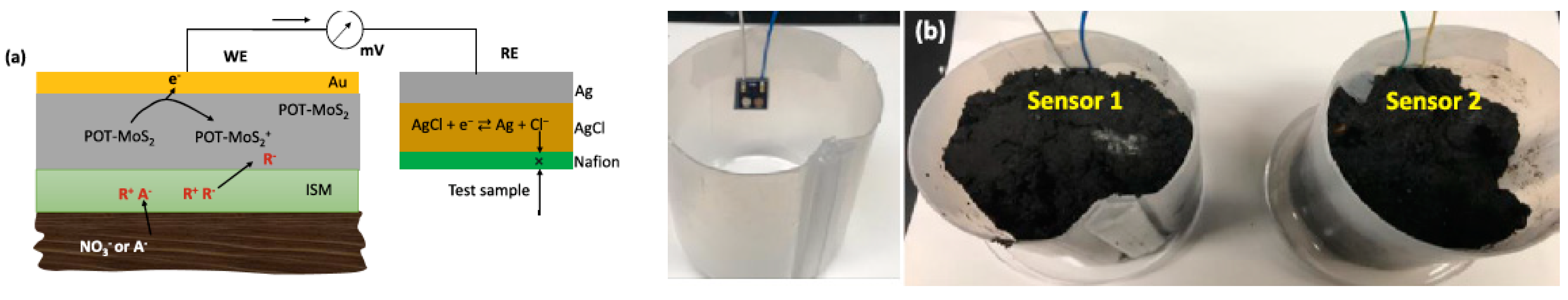Chemosensors 10 00035 g003