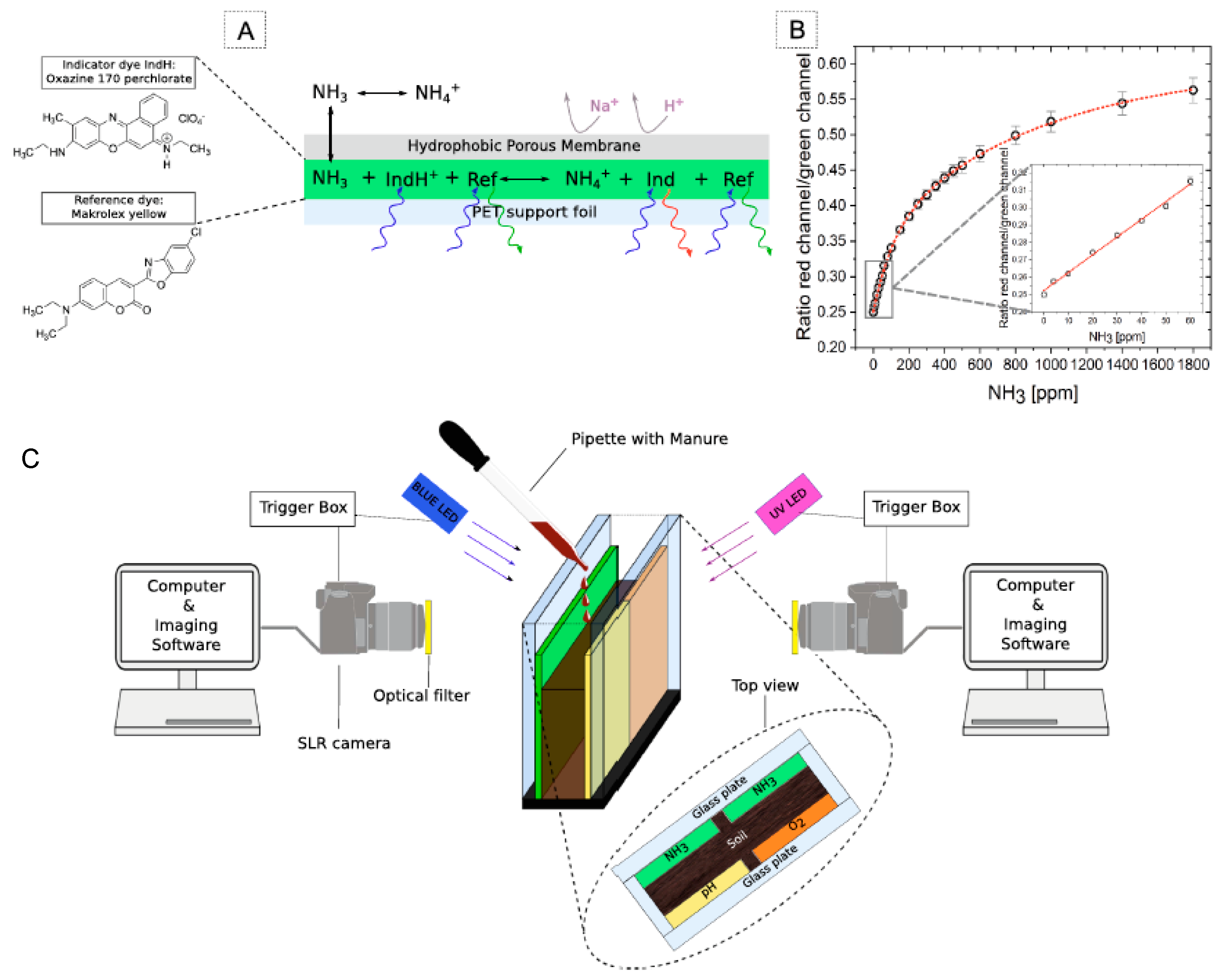Chemosensors 10 00035 g004