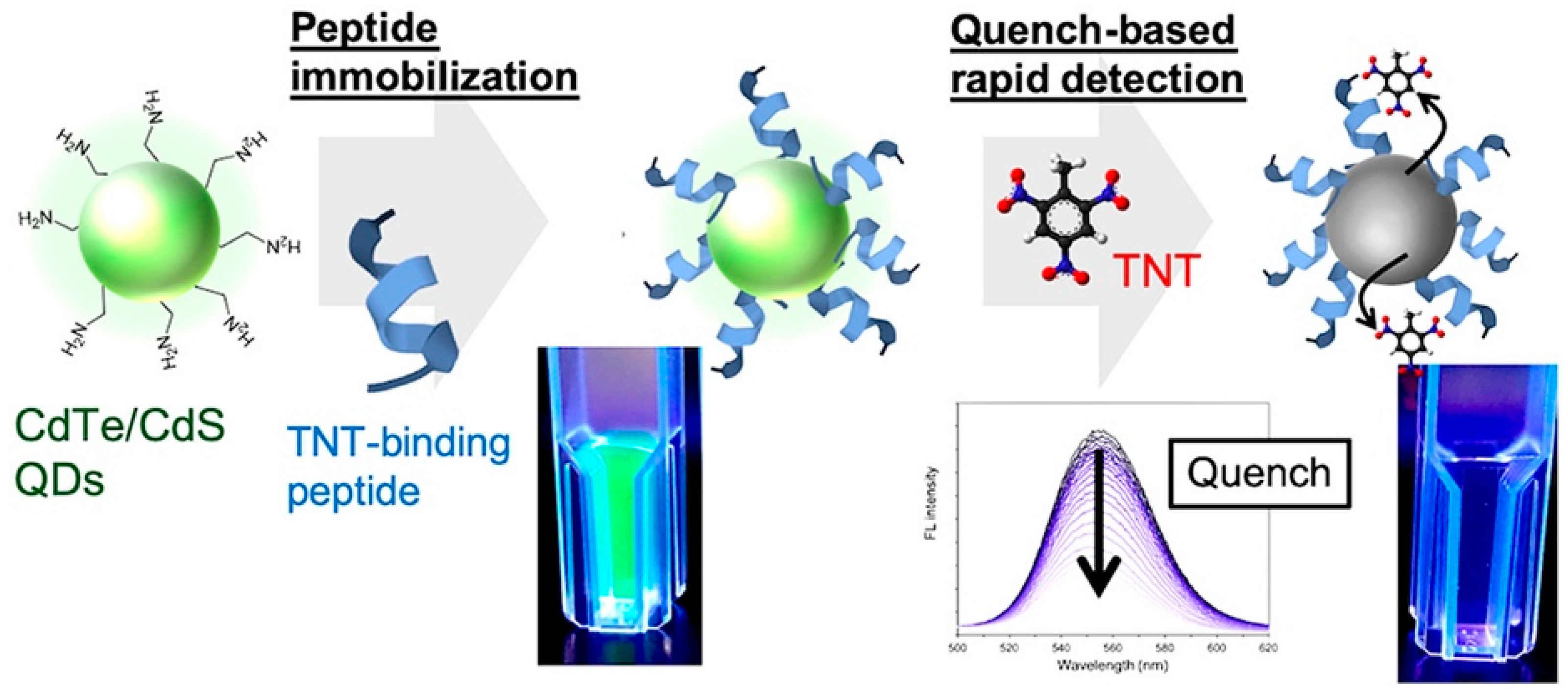 Chemosensors 10 00035 g008
