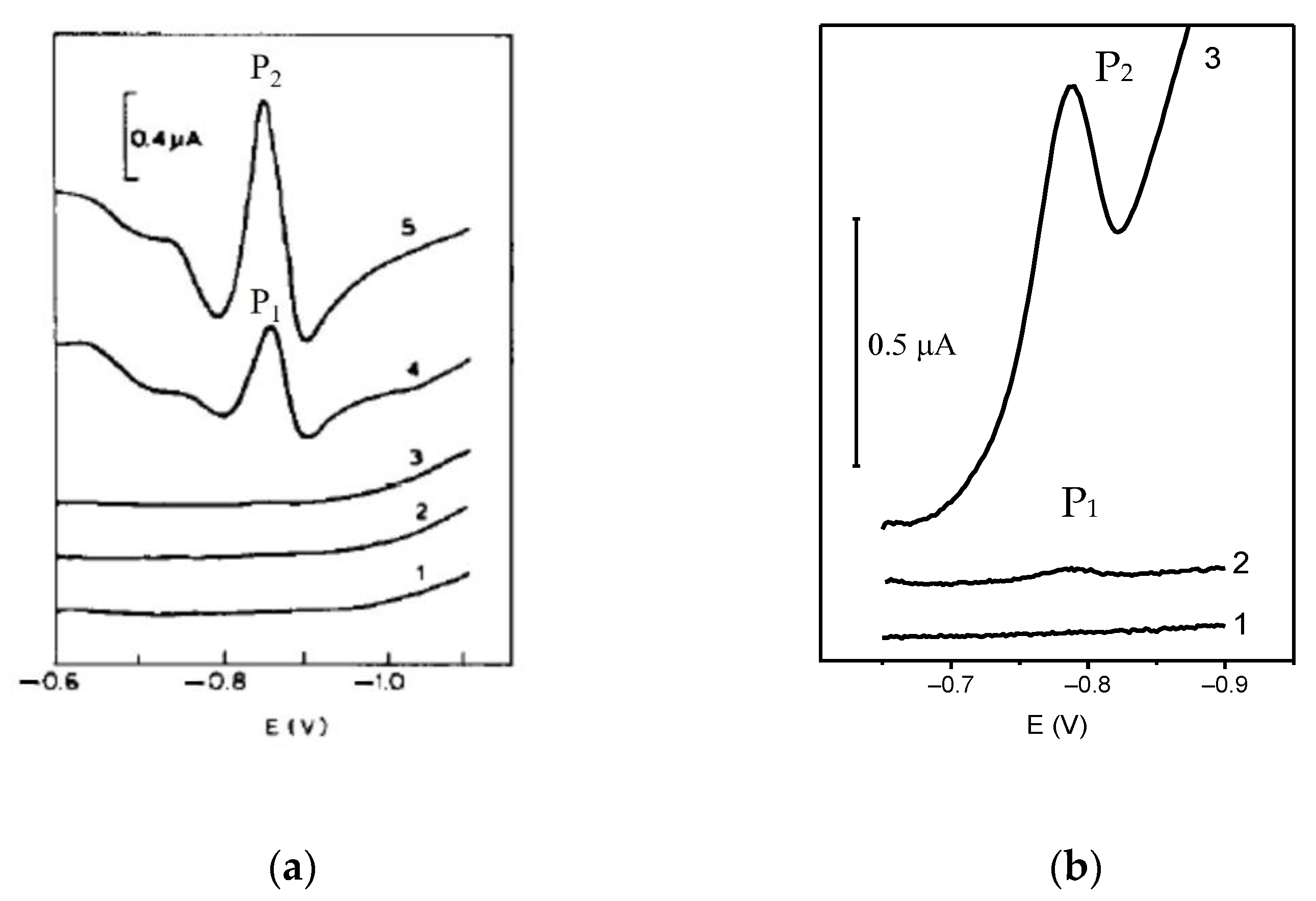 Chemosensors 10 00036 g004 550