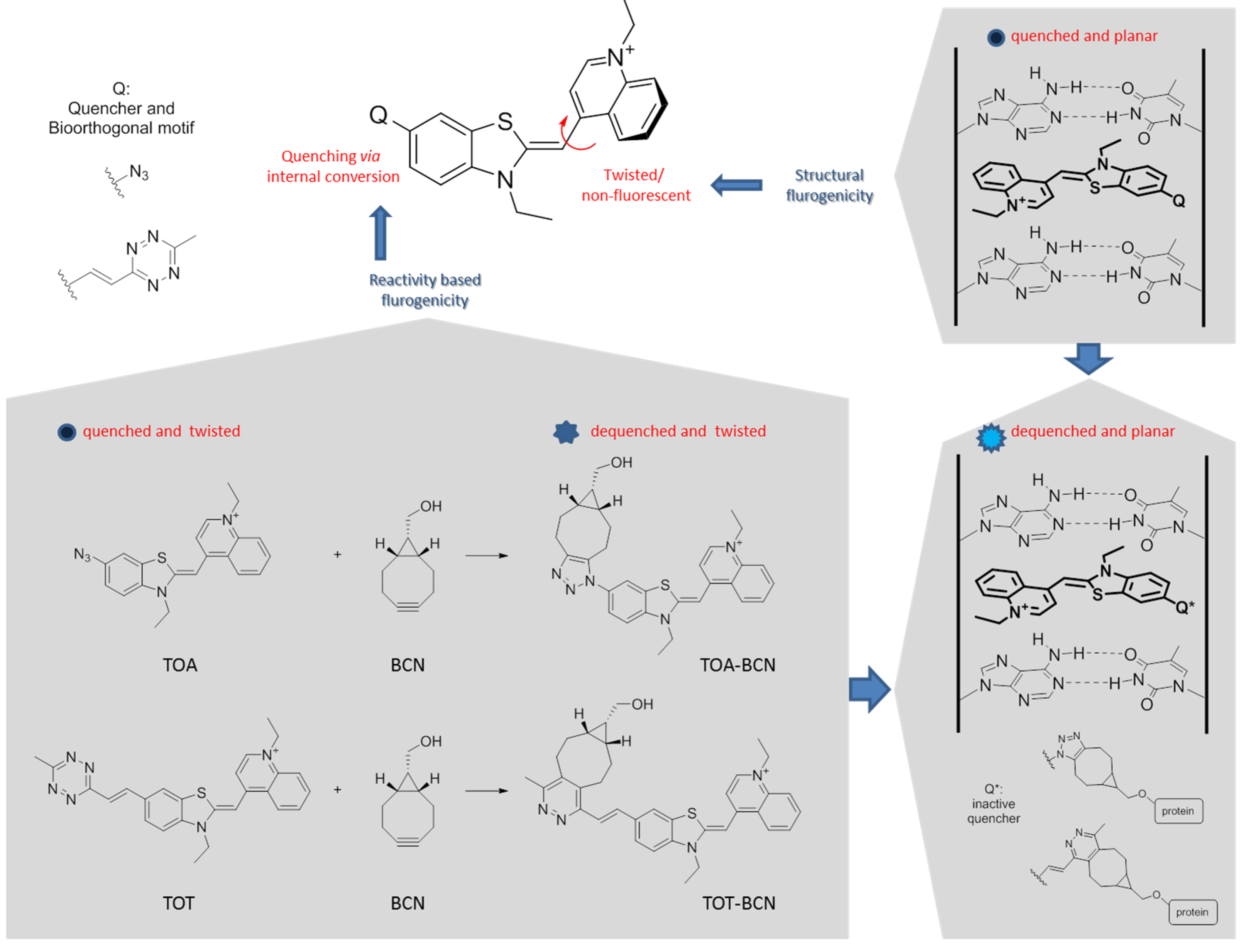 Chemosensors 10 00037 sch001