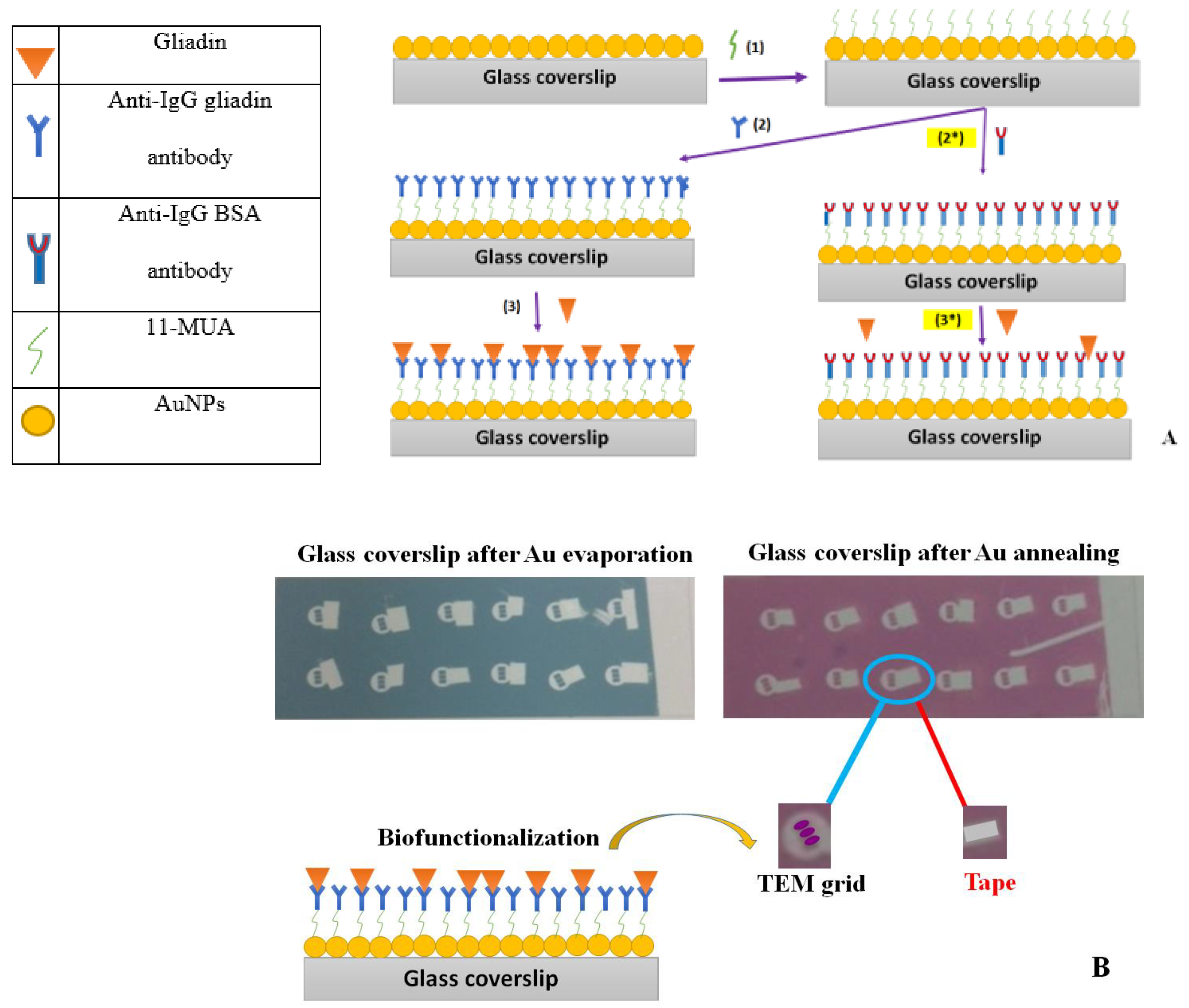 Chemosensors 10 00038 g001