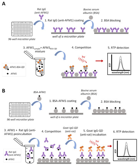 Design and Evaluation of a Competitive Phosphorescent