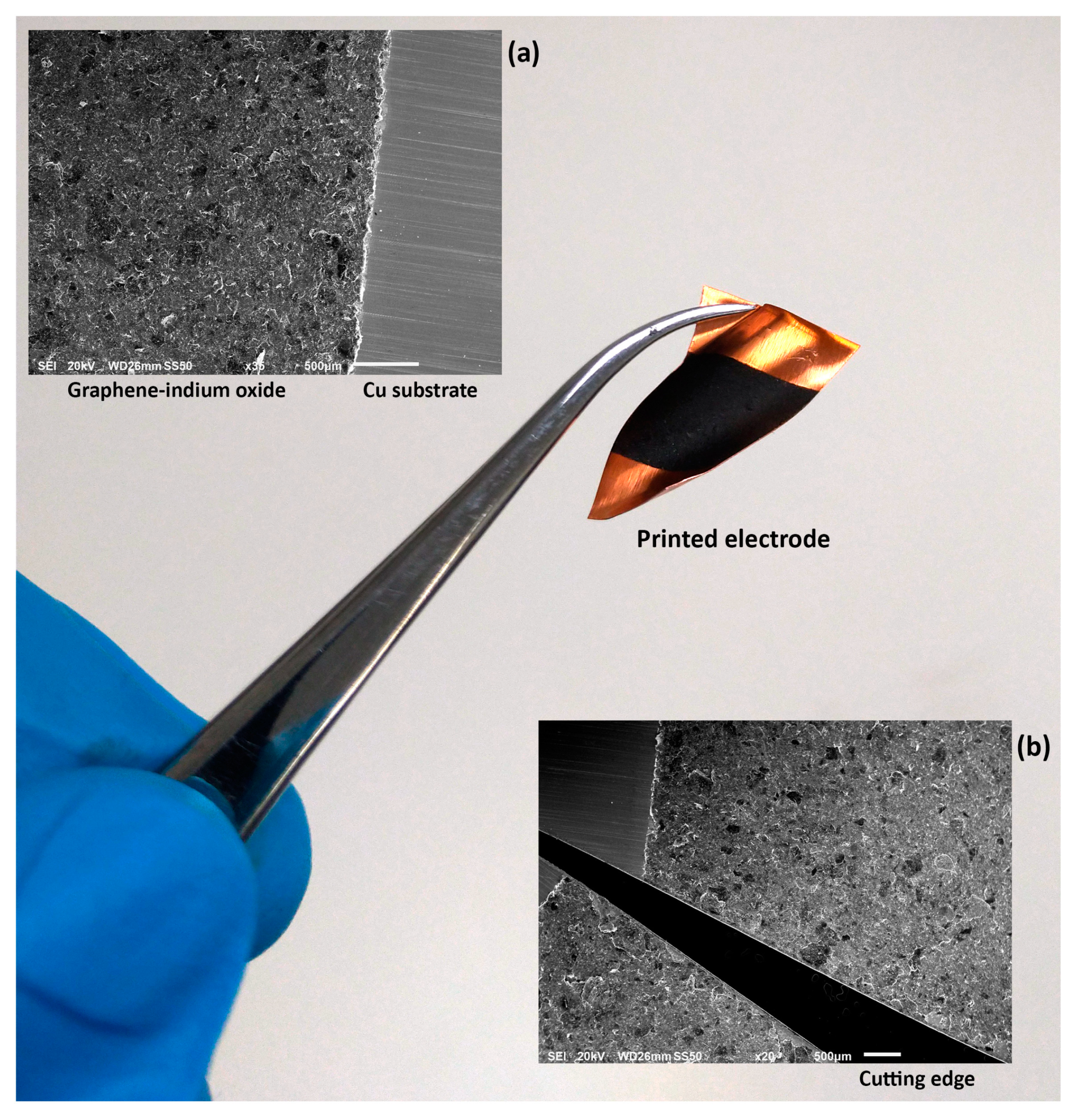 Chemosensors 10 00042 g005