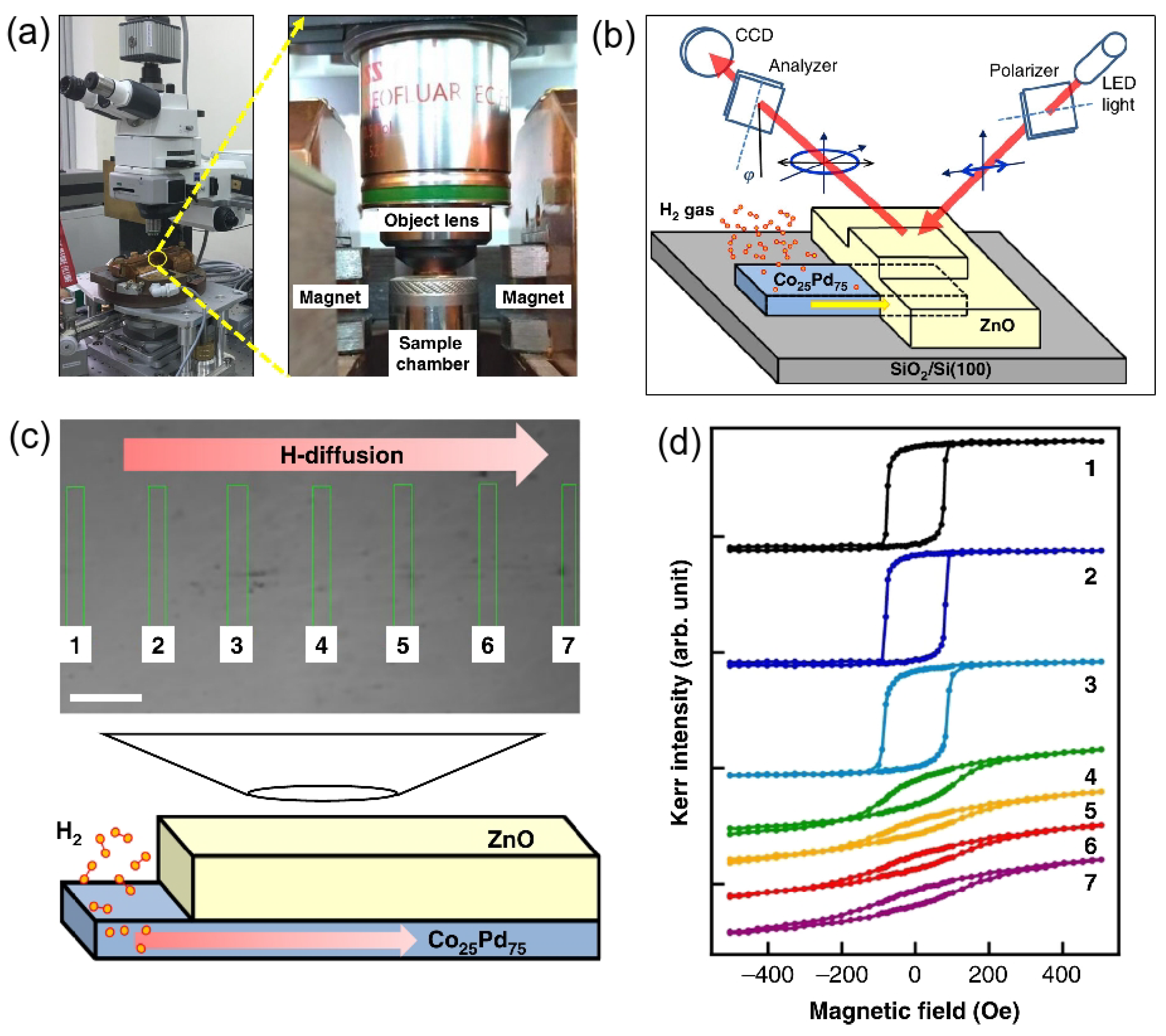 Chemosensors 10 00049 g005 Chemosensors 10 00049 g005
