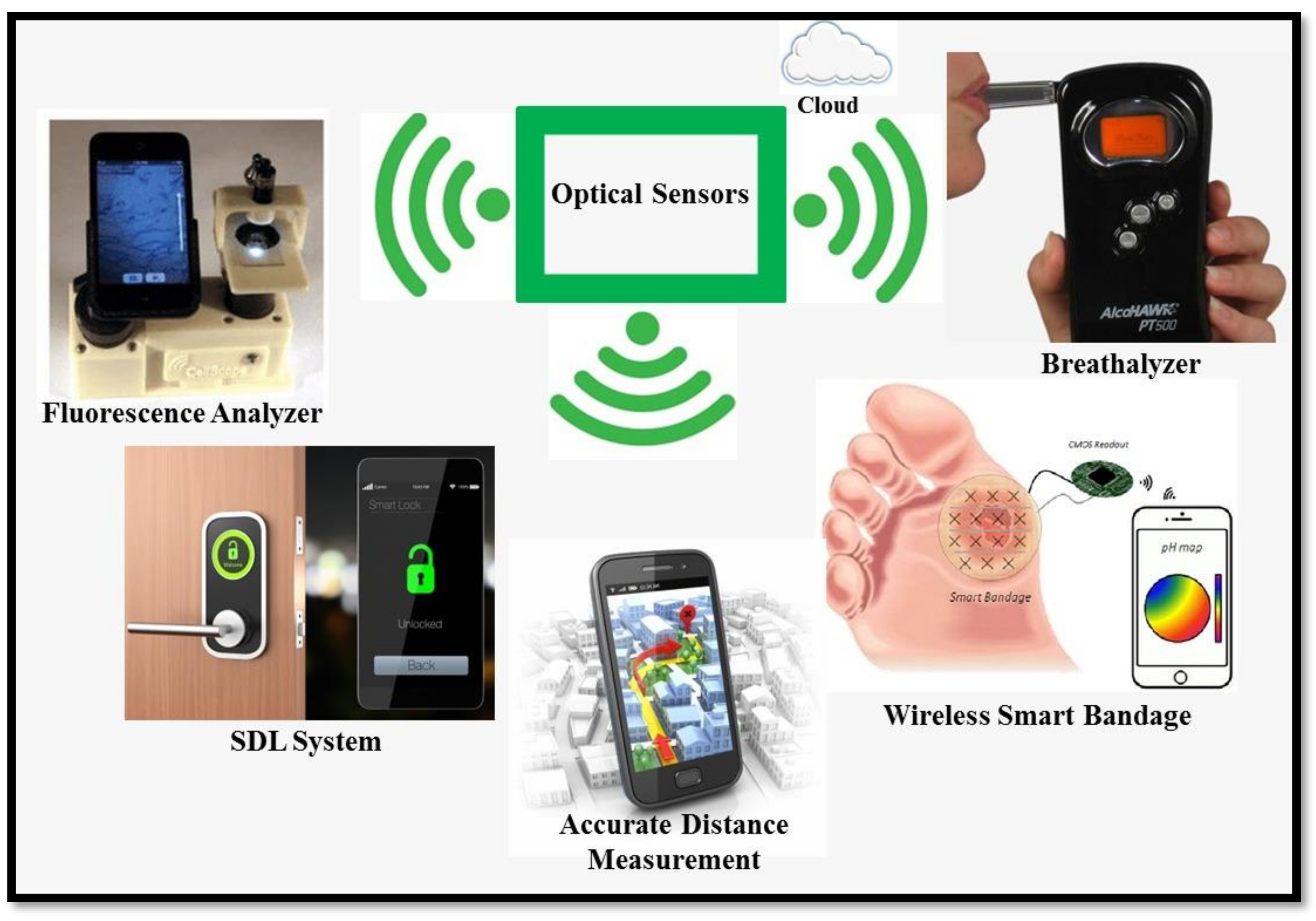Chemosensors 10 00055 g006