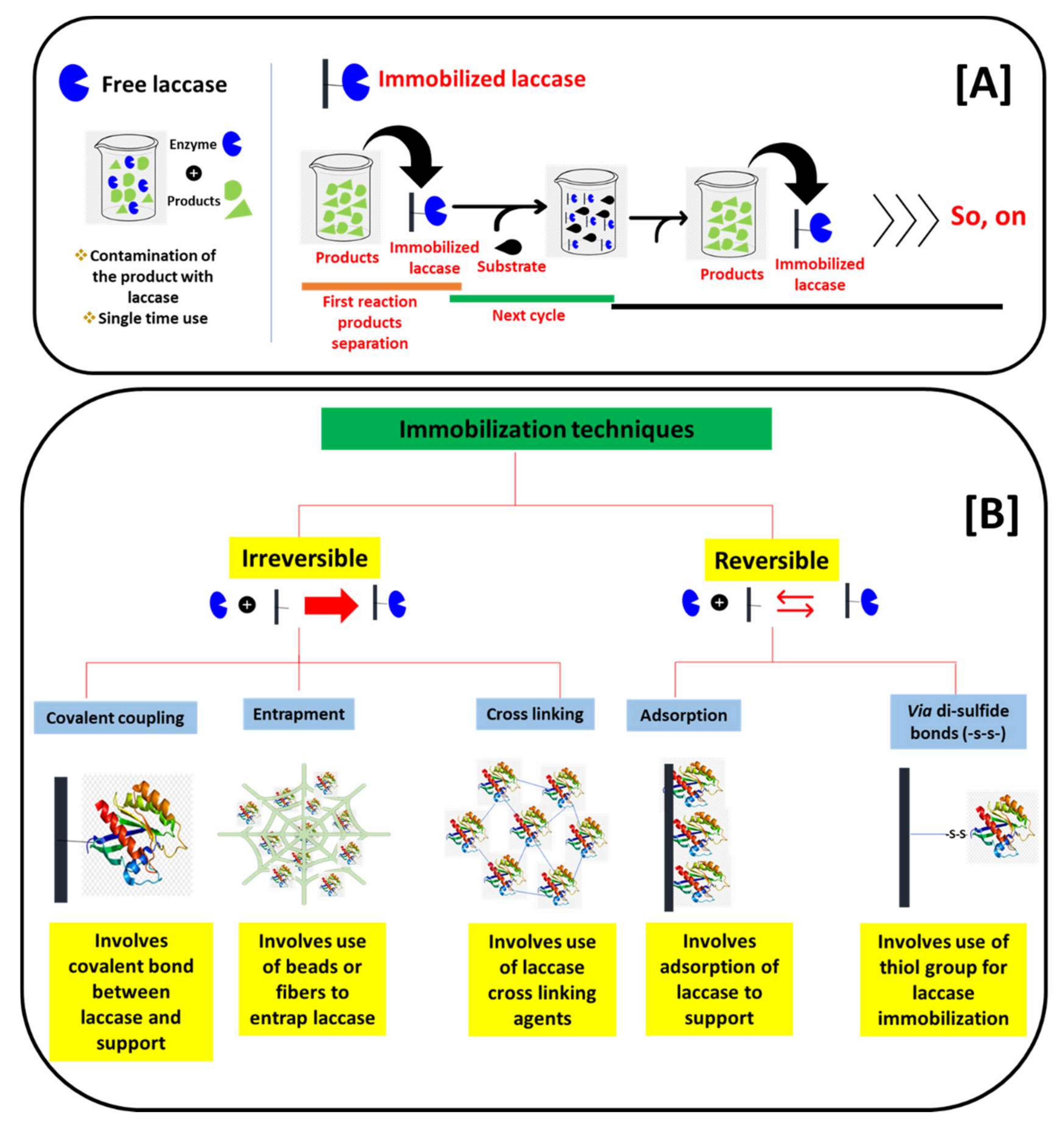 Chemosensors 10 00058 g004