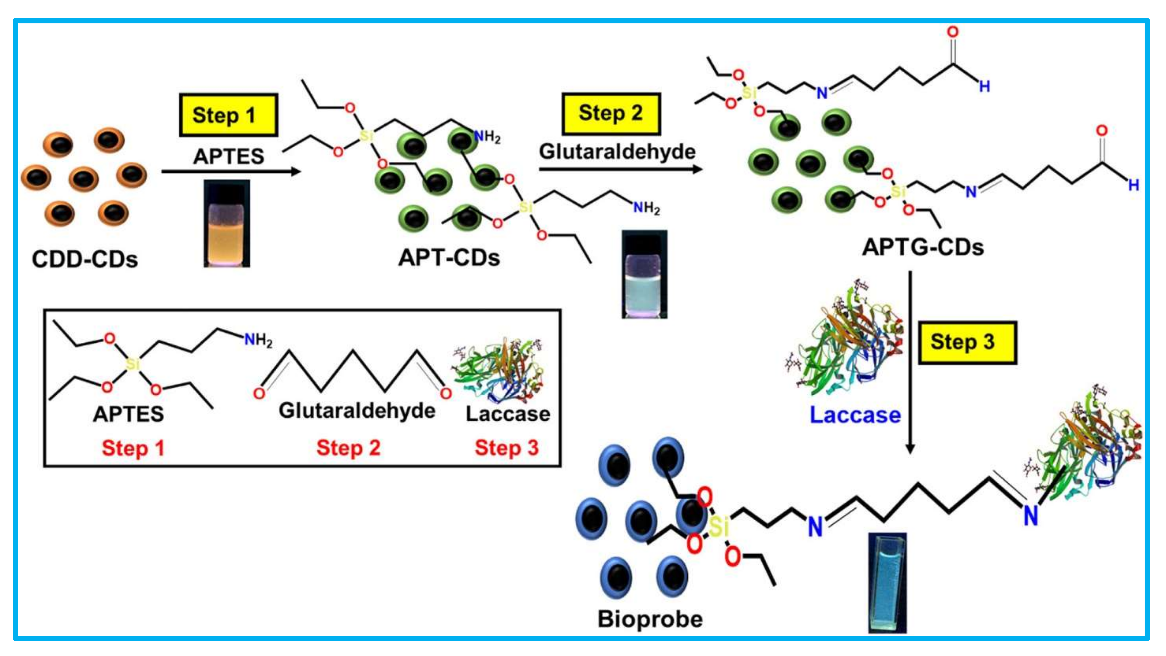 Chemosensors 10 00058 g010