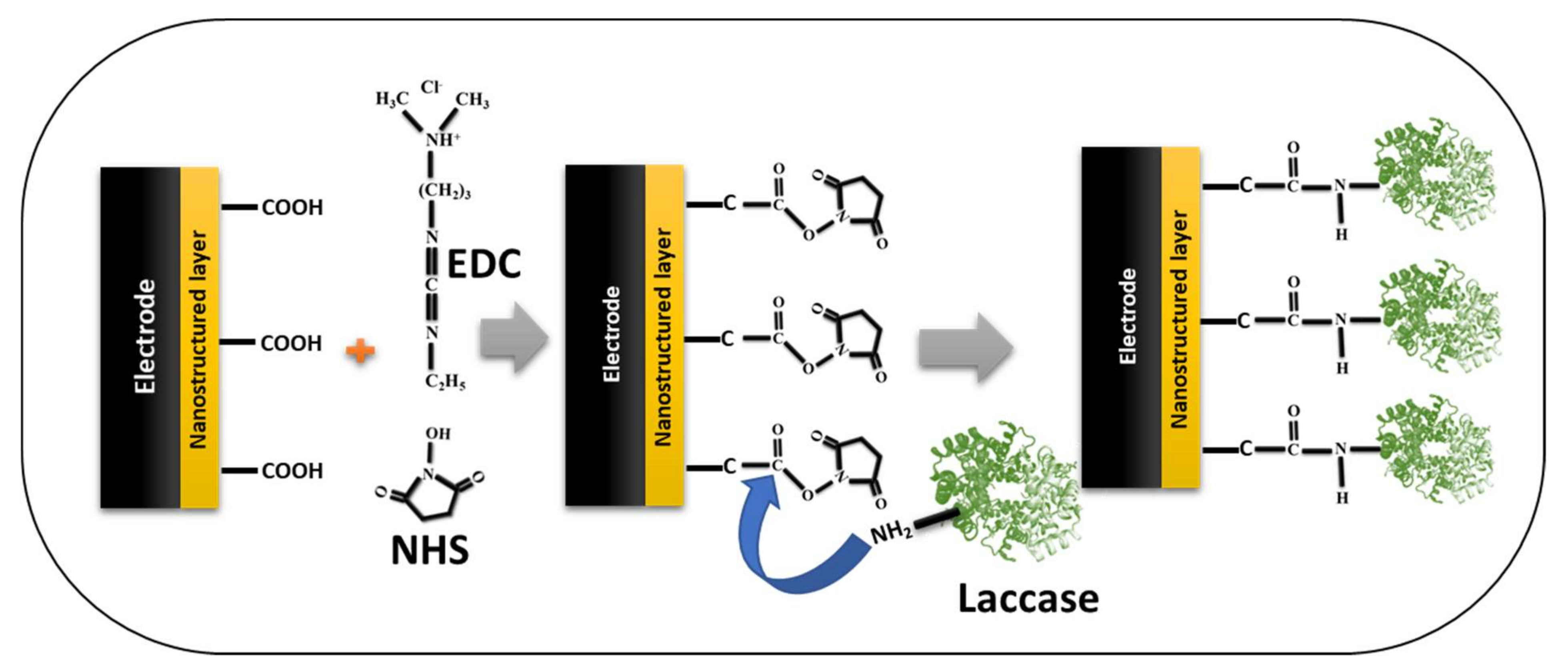 Chemosensors 10 00058 g011