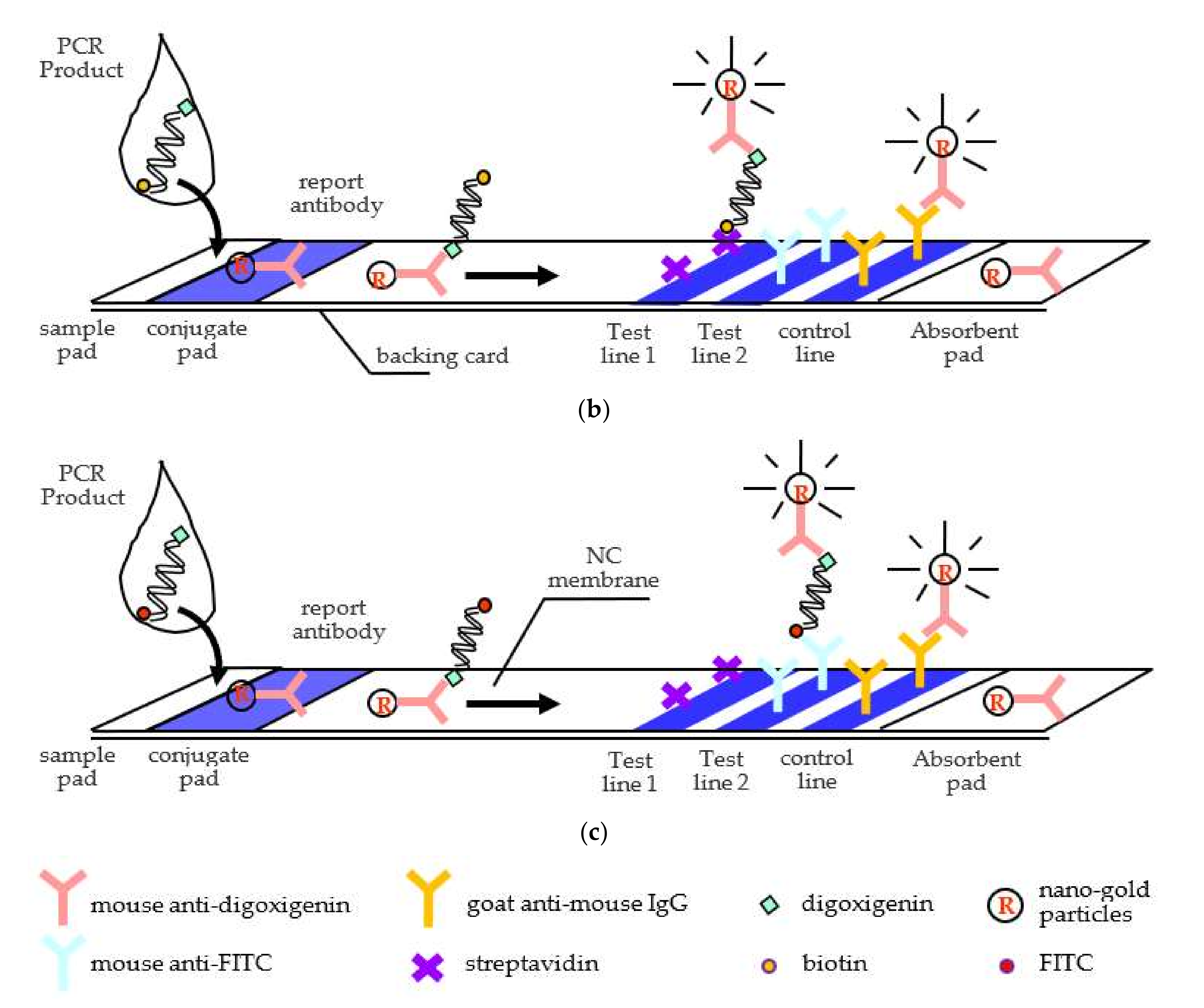 Chemosensors 10 00059 g001b 550