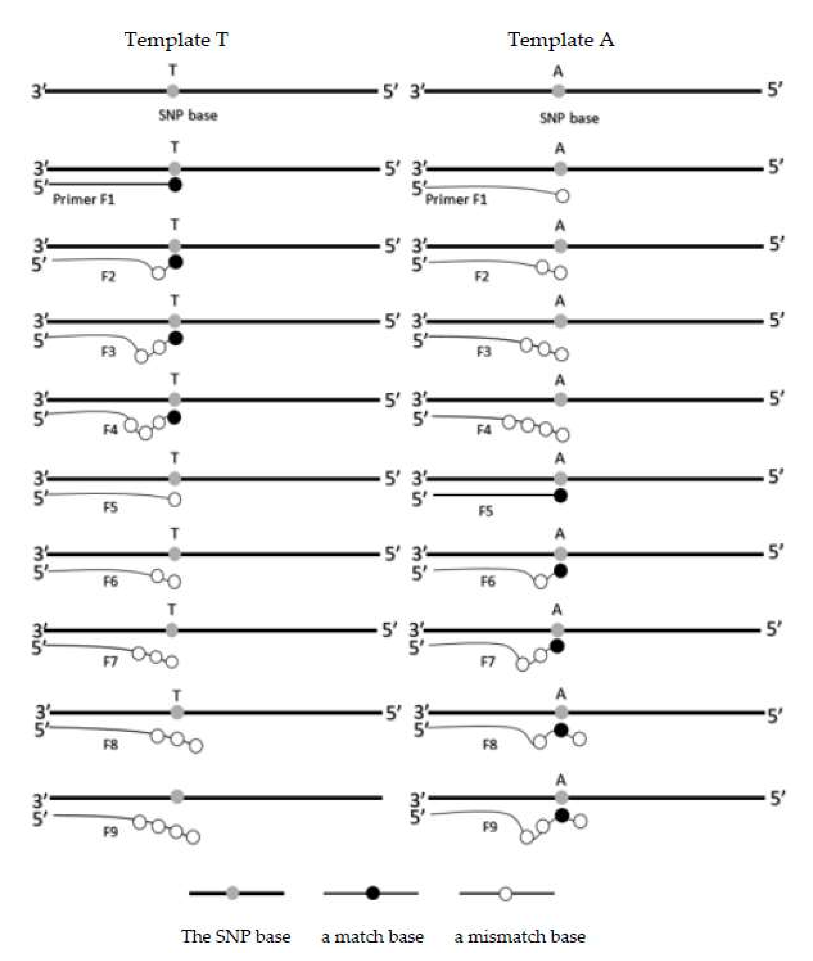 Chemosensors 10 00059 g002 550