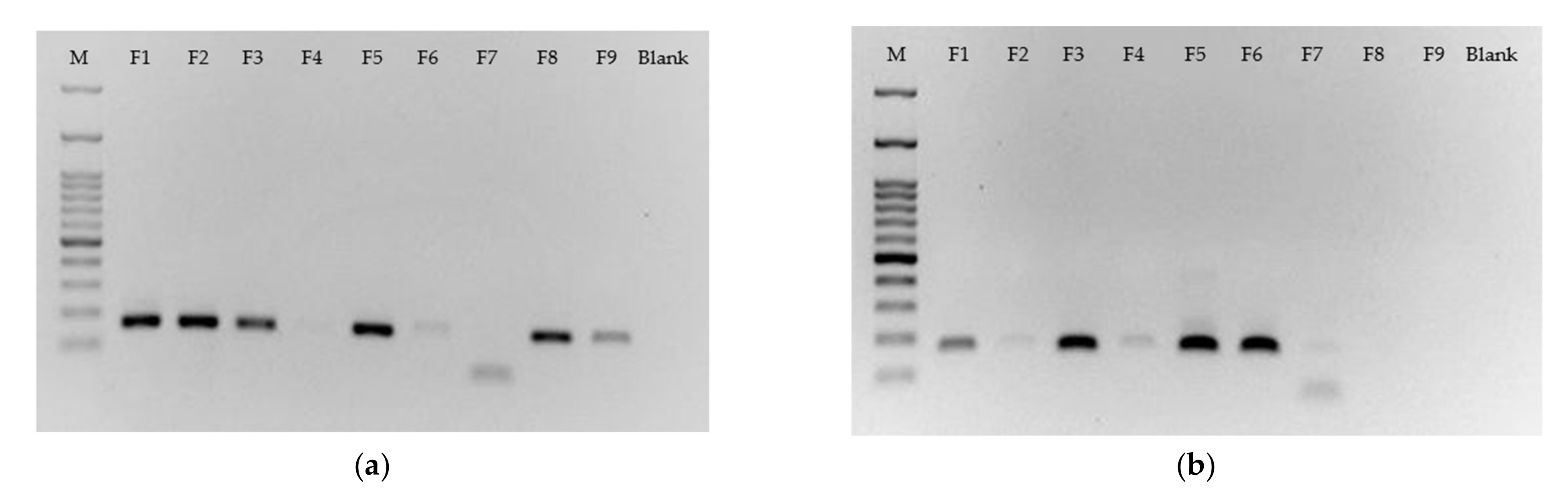 Chemosensors 10 00059 g005 550