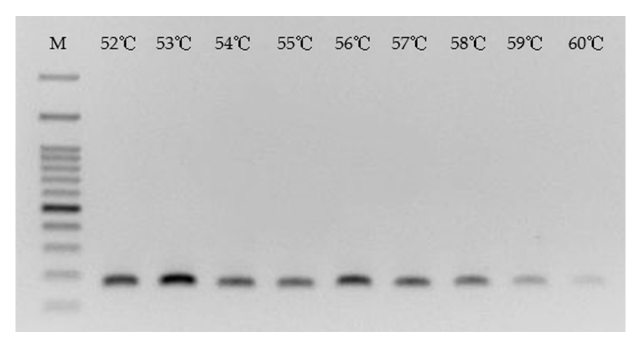 Chemosensors 10 00059 g006 550