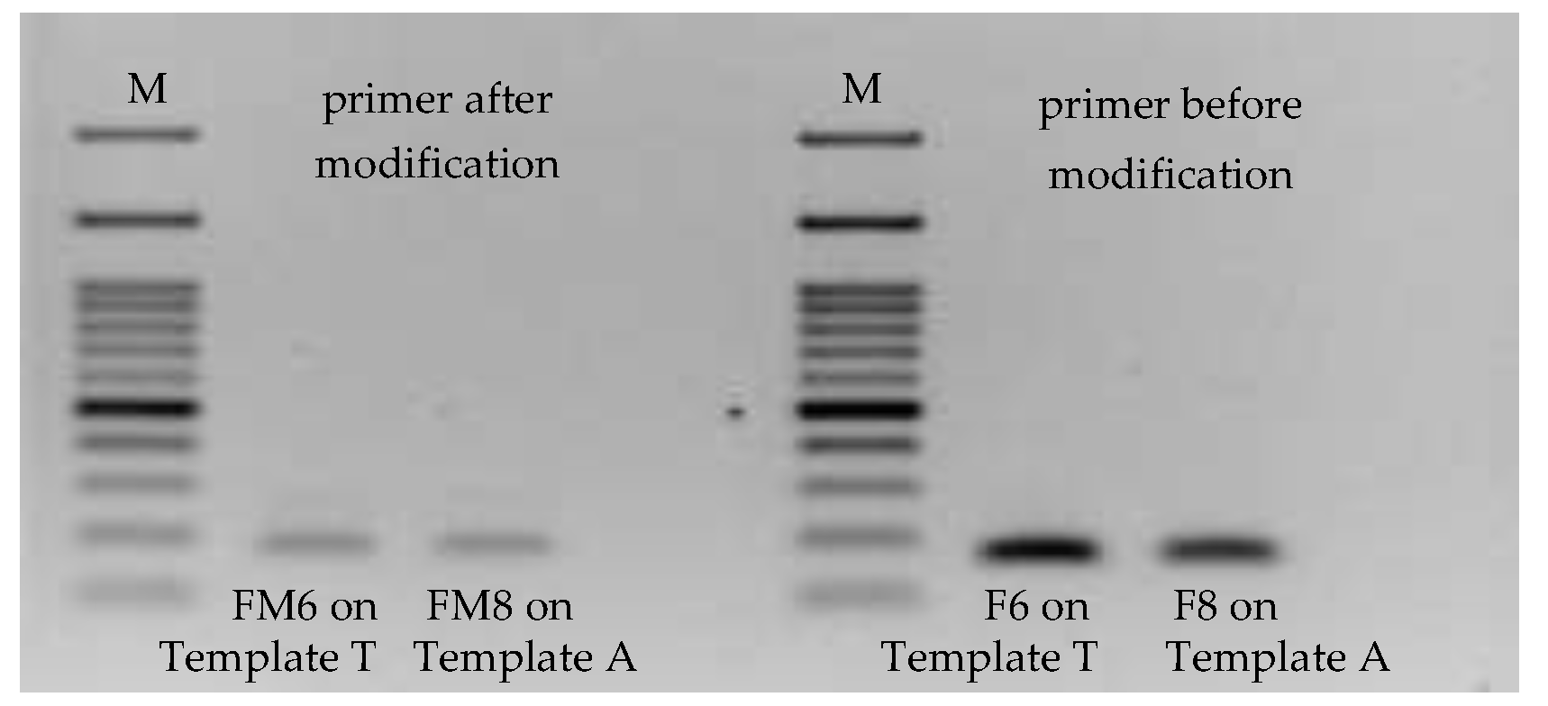 Chemosensors 10 00059 g007 550
