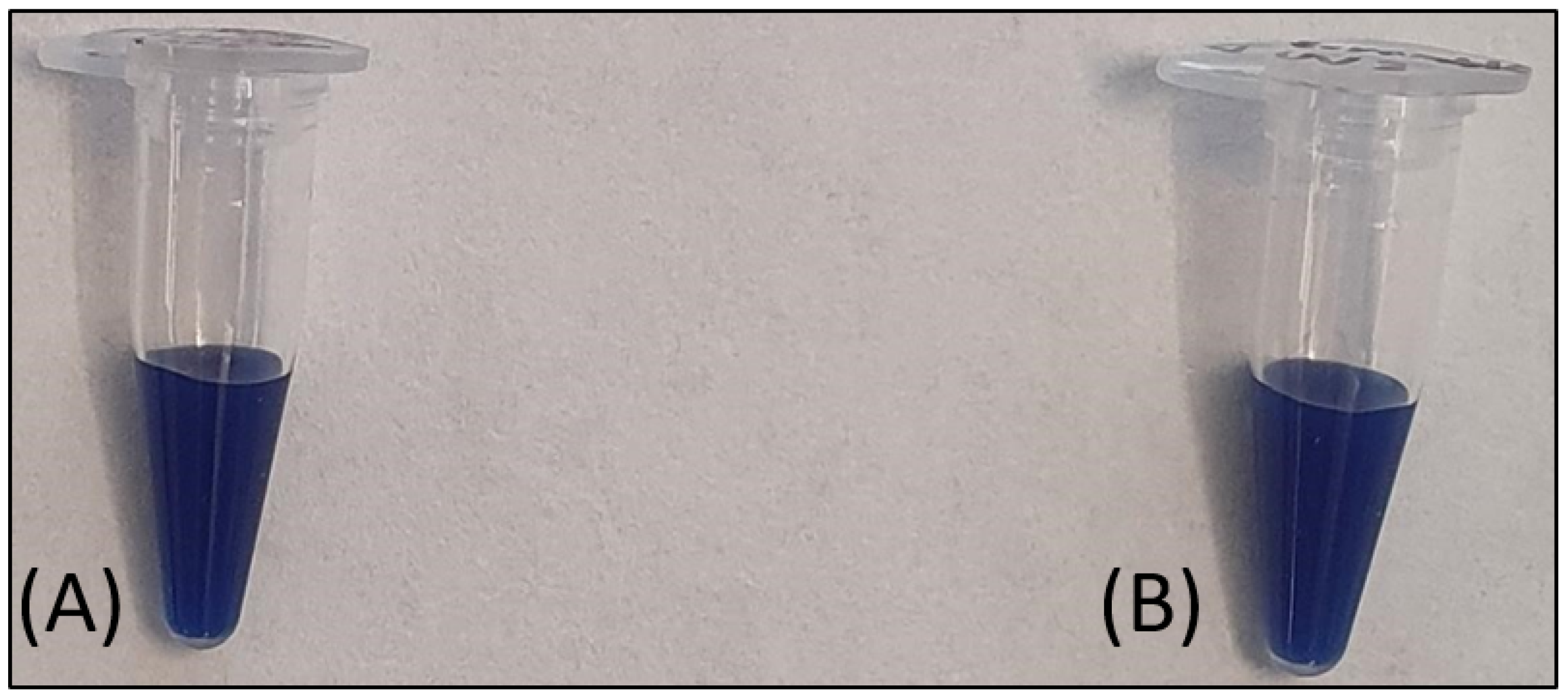 Chemosensors 10 00062 g002 550
