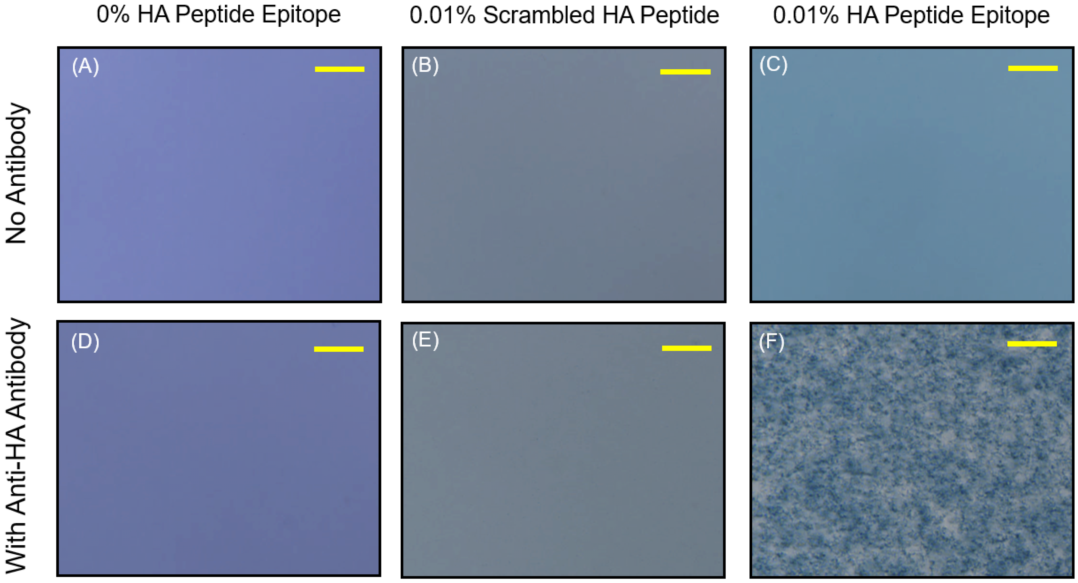 Chemosensors 10 00062 g006 550