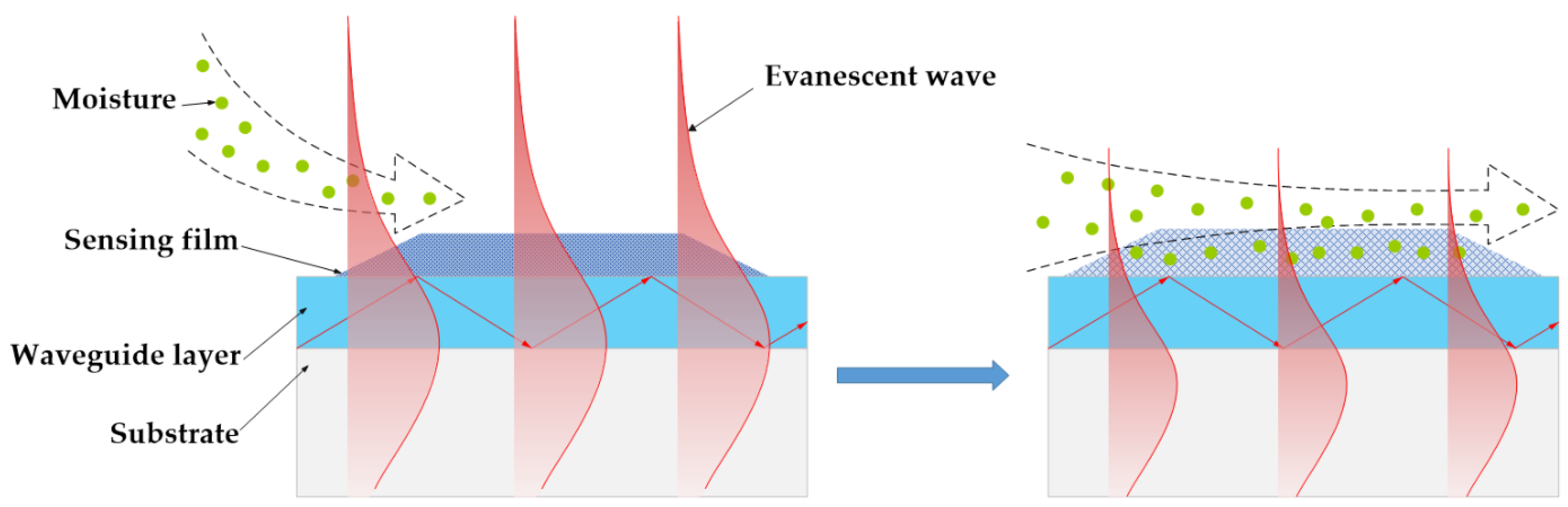 Chemosensors 10 00063 sch003