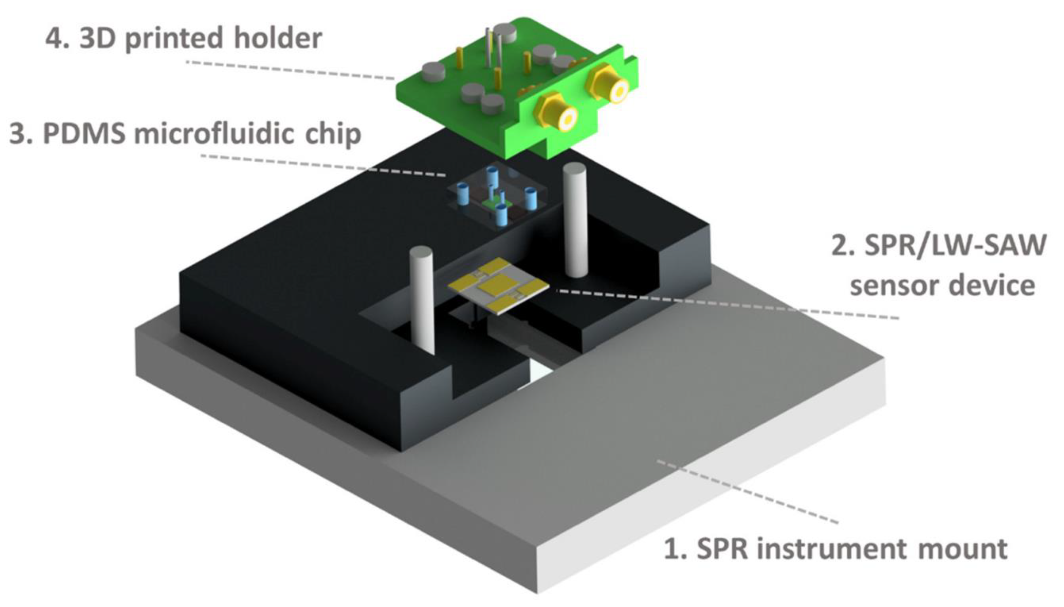 Chemosensors 10 00065 g004 550
