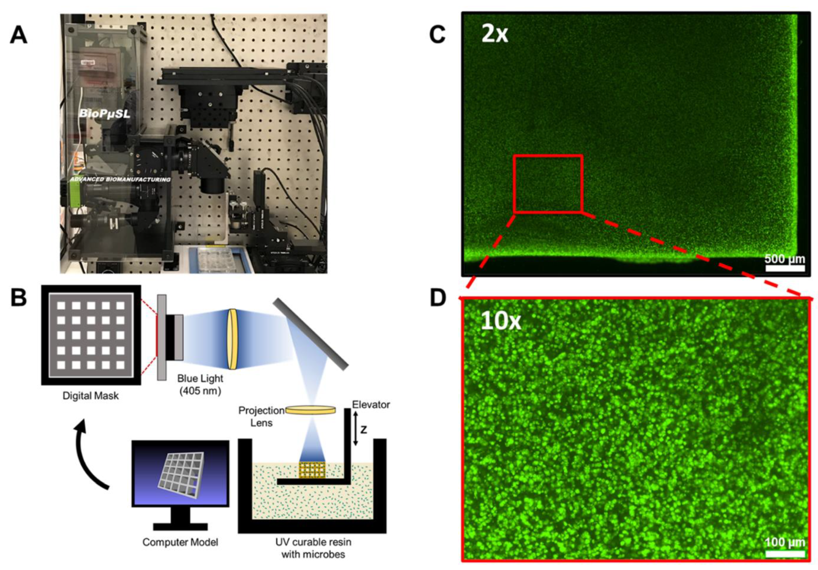 Chemosensors 10 00065 g007 550