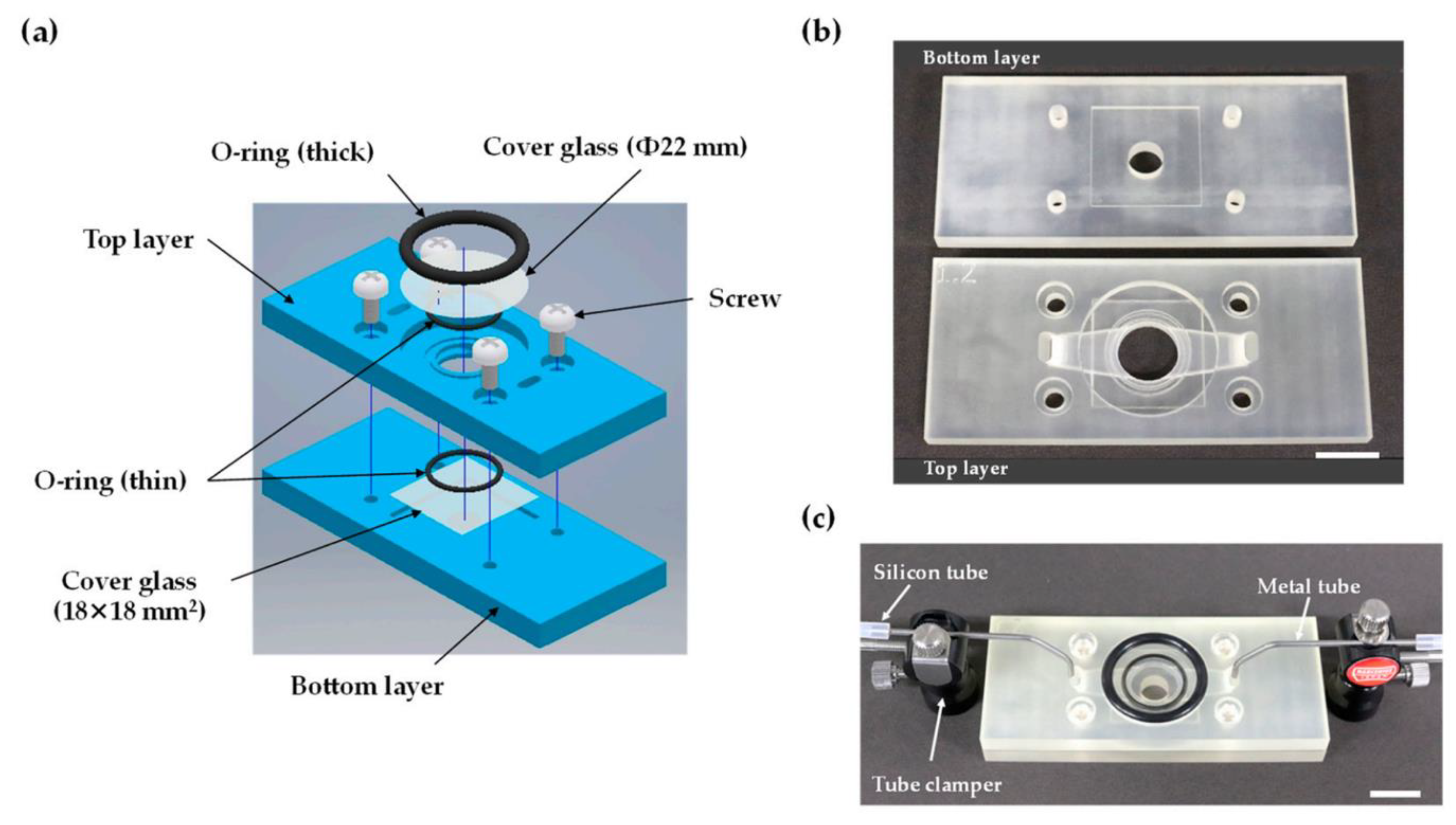 Chemosensors 10 00065 g009 550