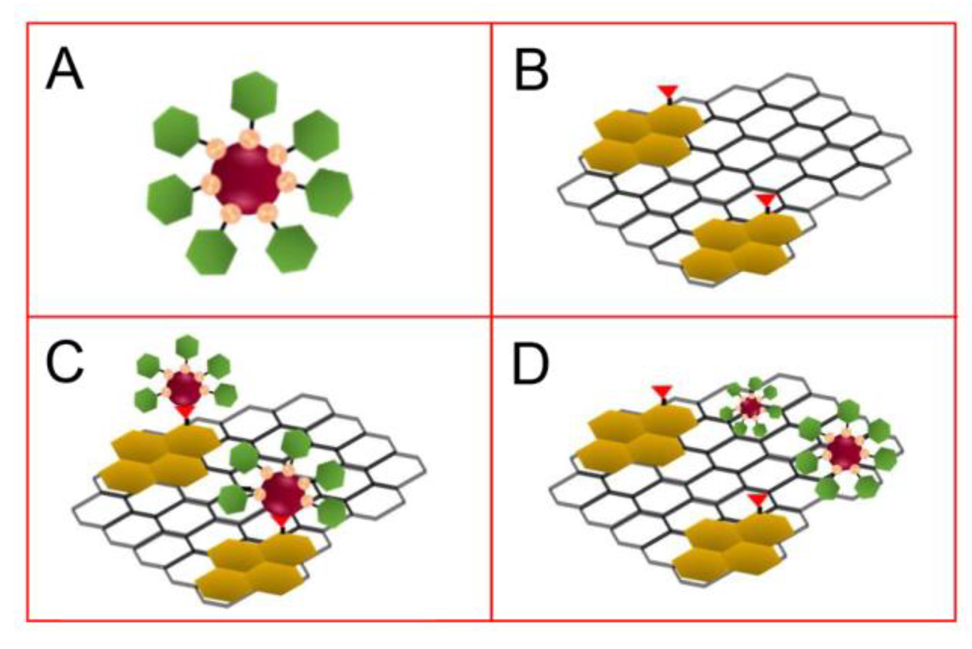 Chemosensors 10 00067 sch002 550