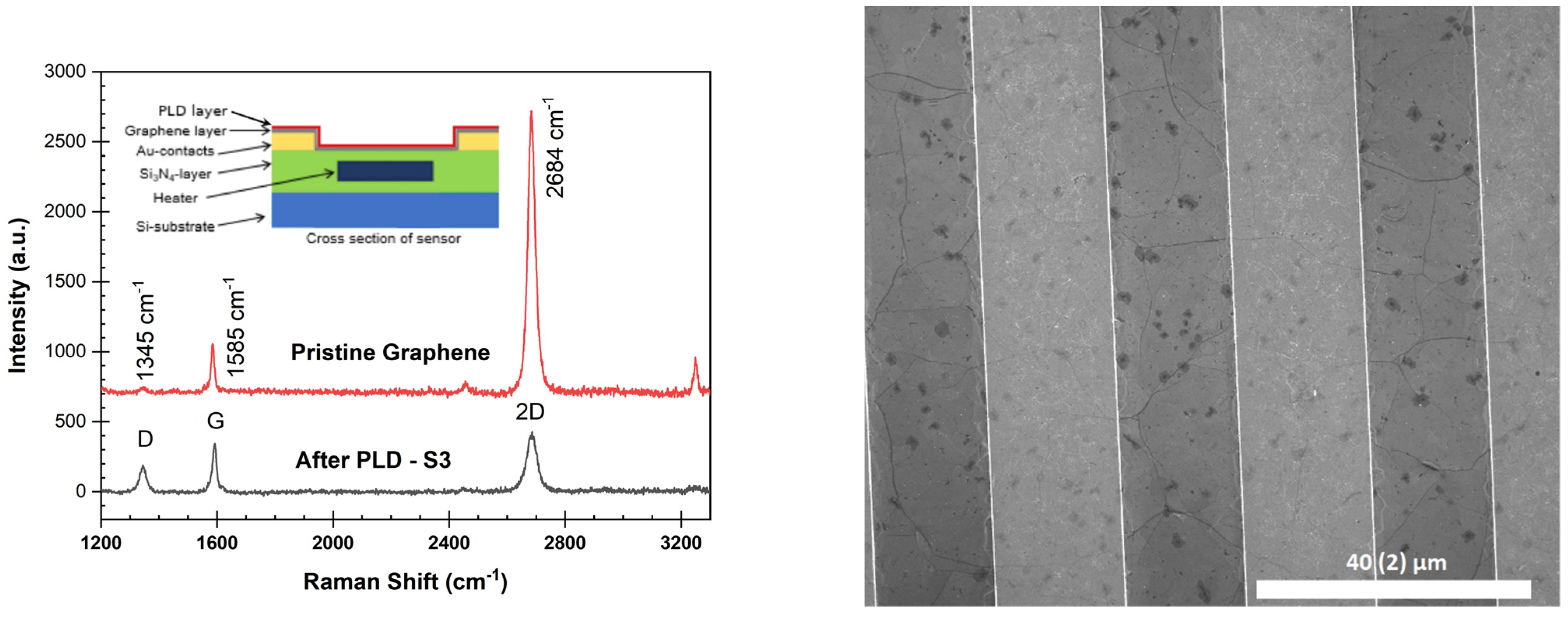 Chemosensors 10 00068 g003 550