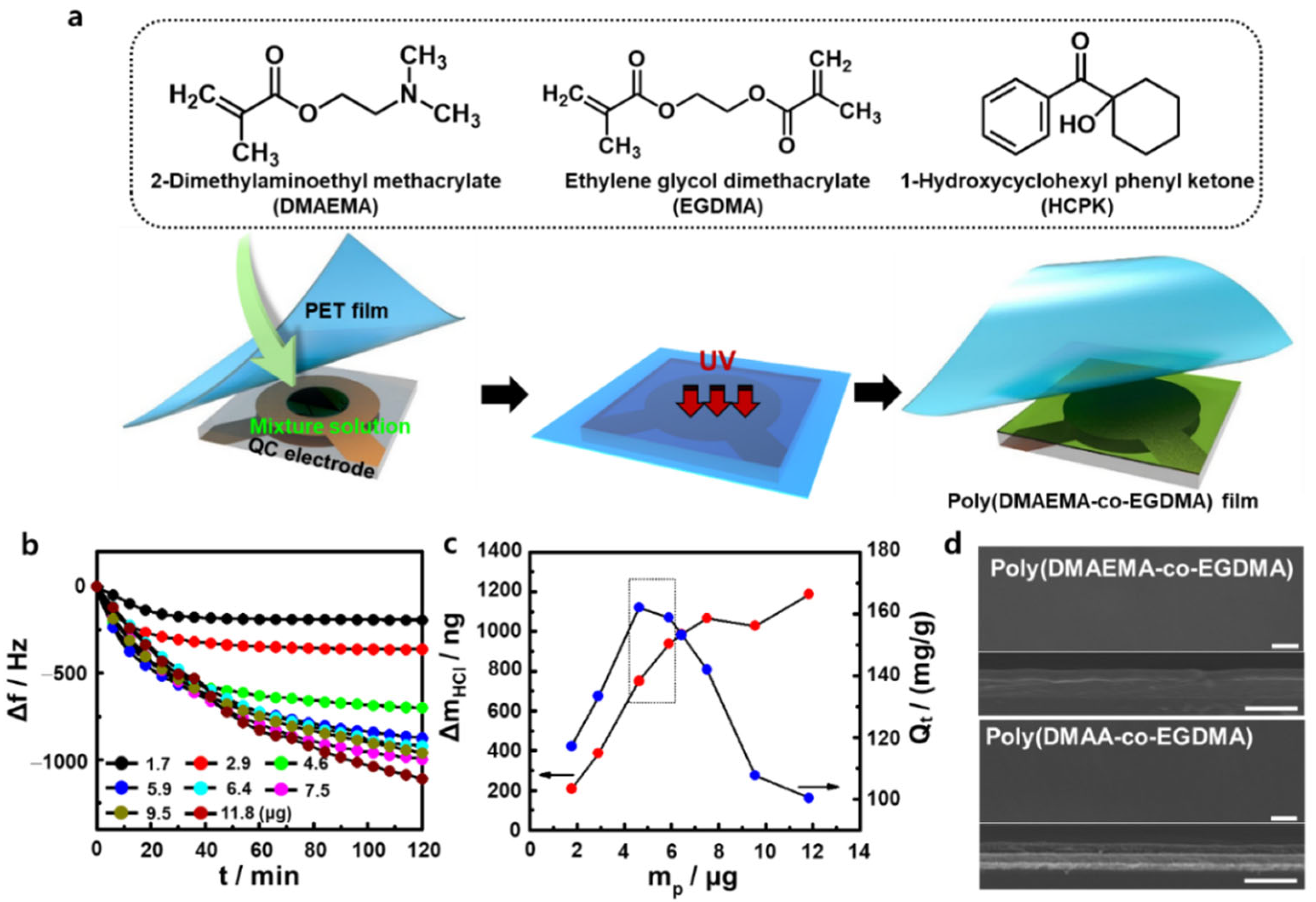 Chemosensors 10 00070 g001 550
