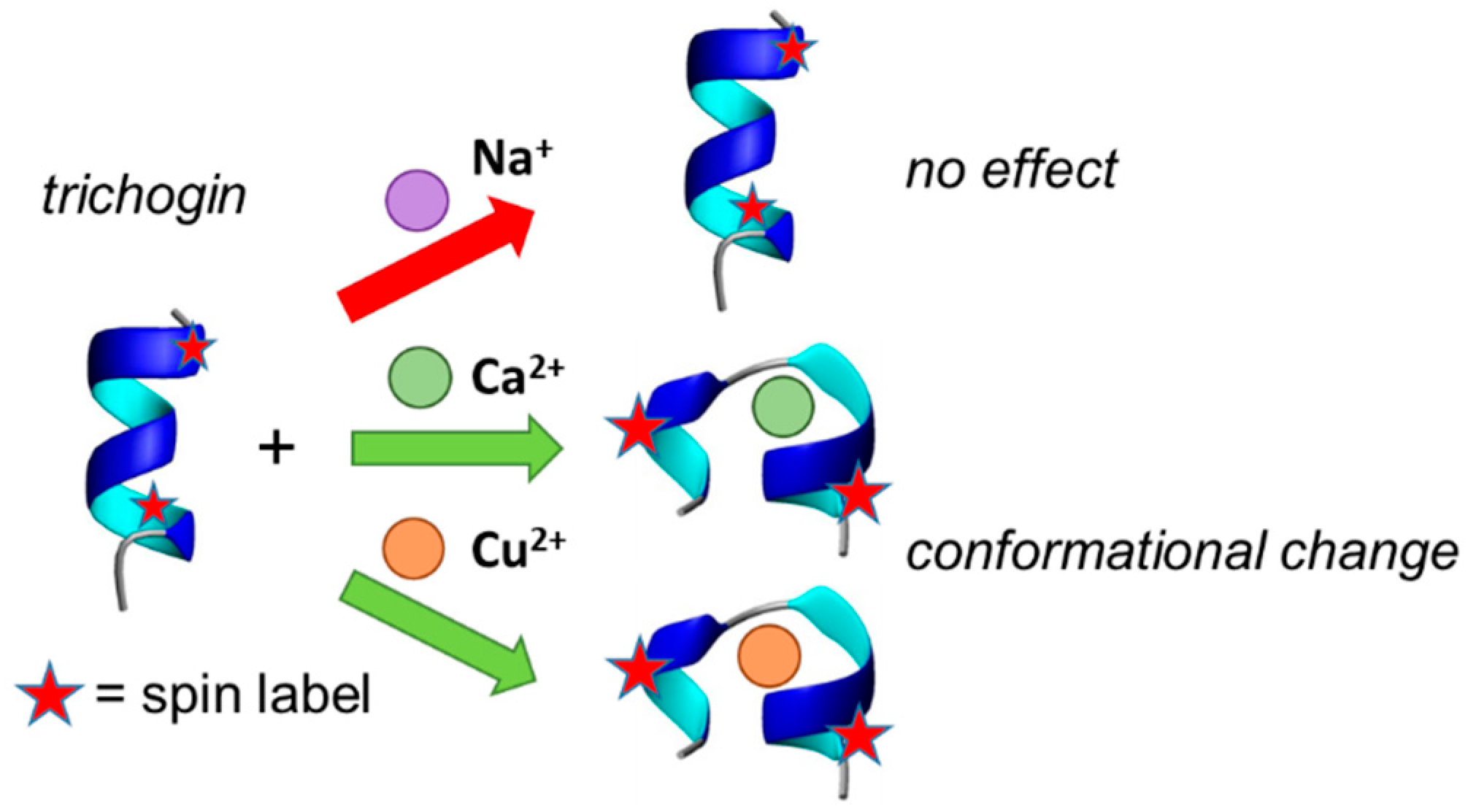 Chemosensors 10 00071 g004 Chemosensors 10 00071 g004