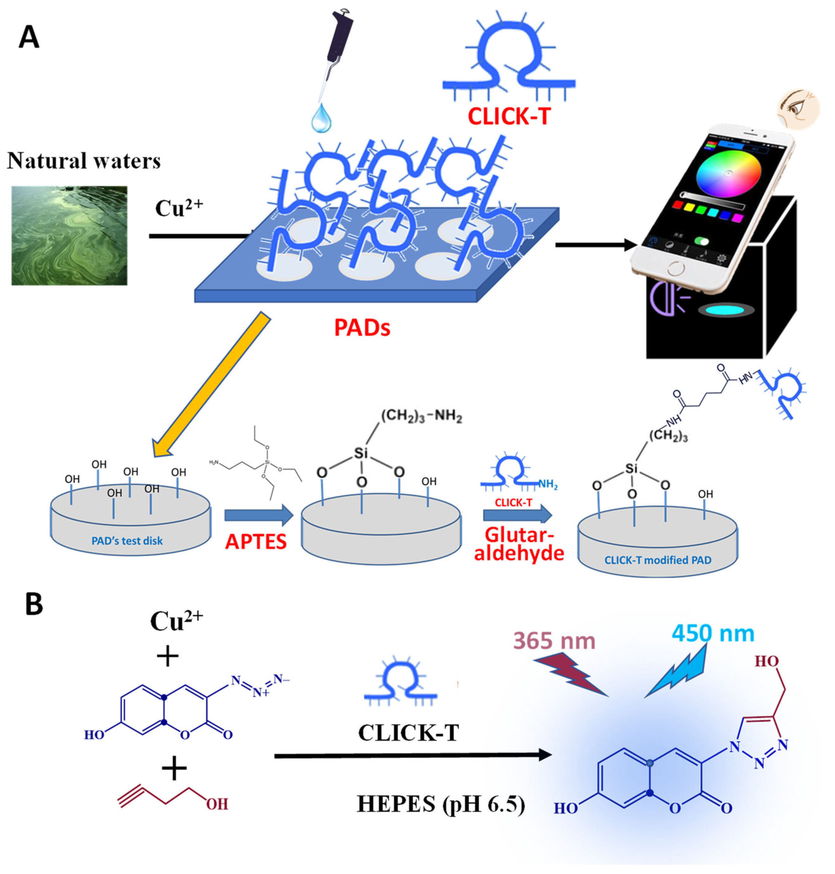 Chemosensors 10 00072 g001