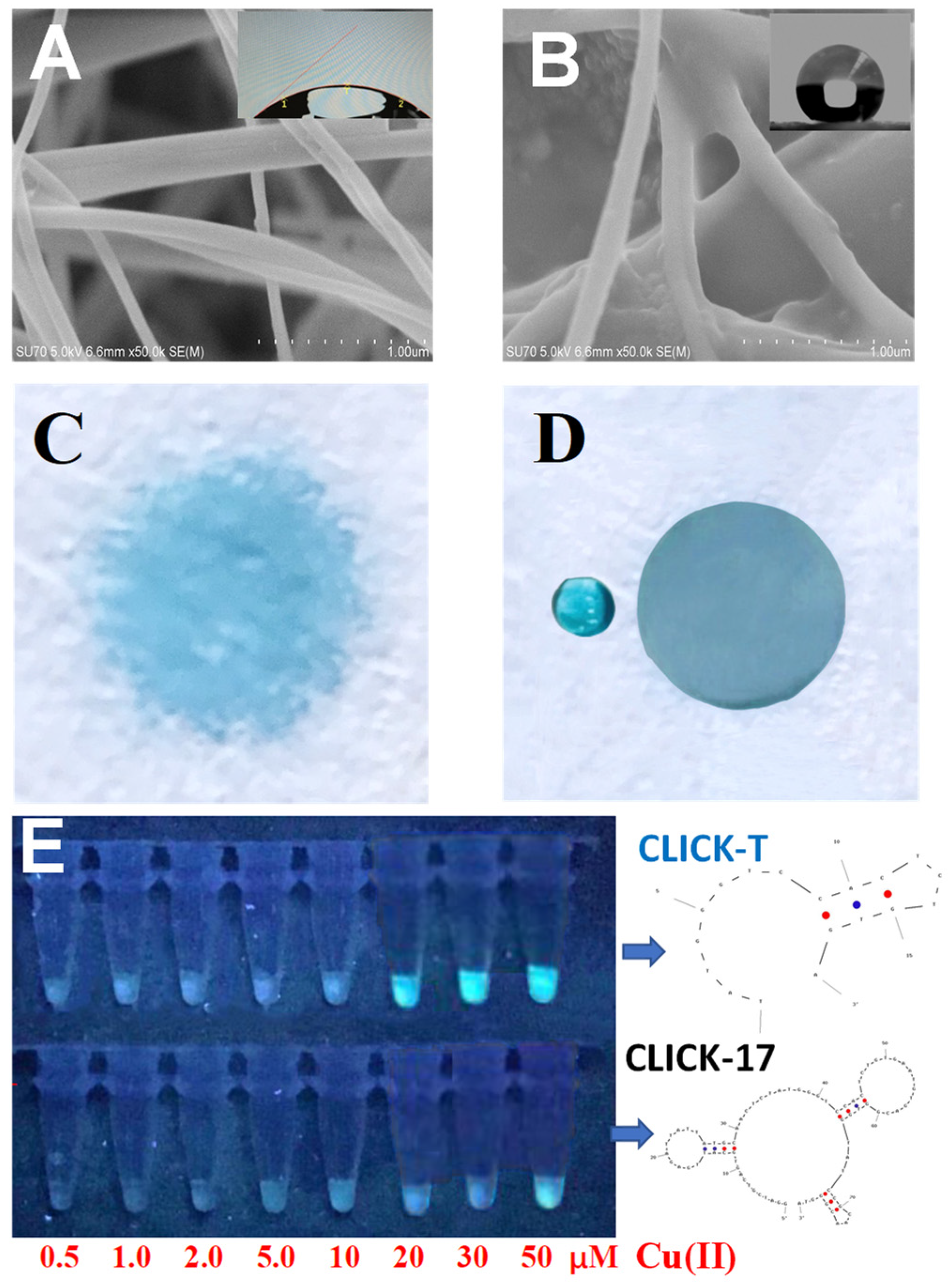 Chemosensors 10 00072 g002