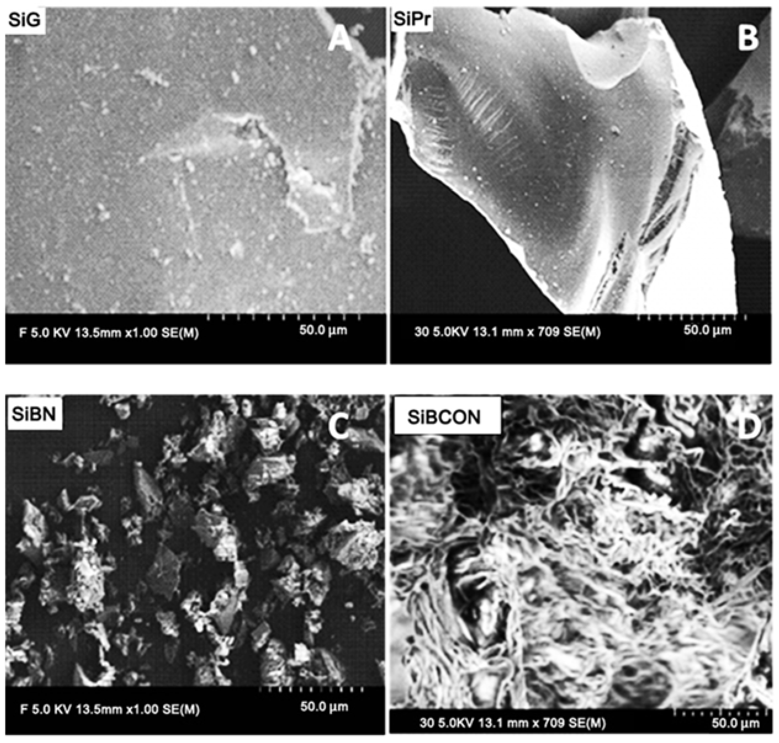 Chemosensors 10 00076 g001