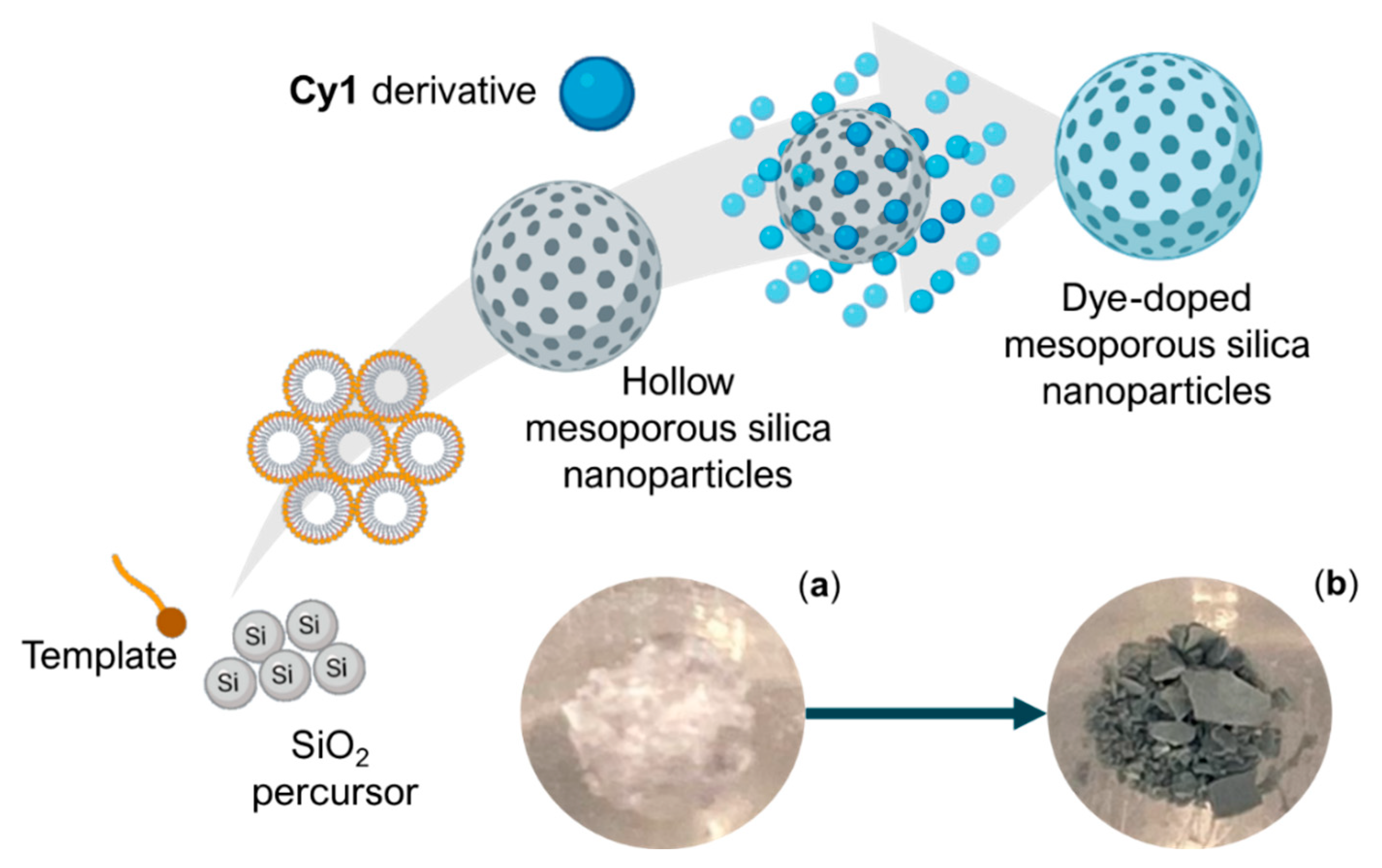 Chemosensors 10 00080 g003