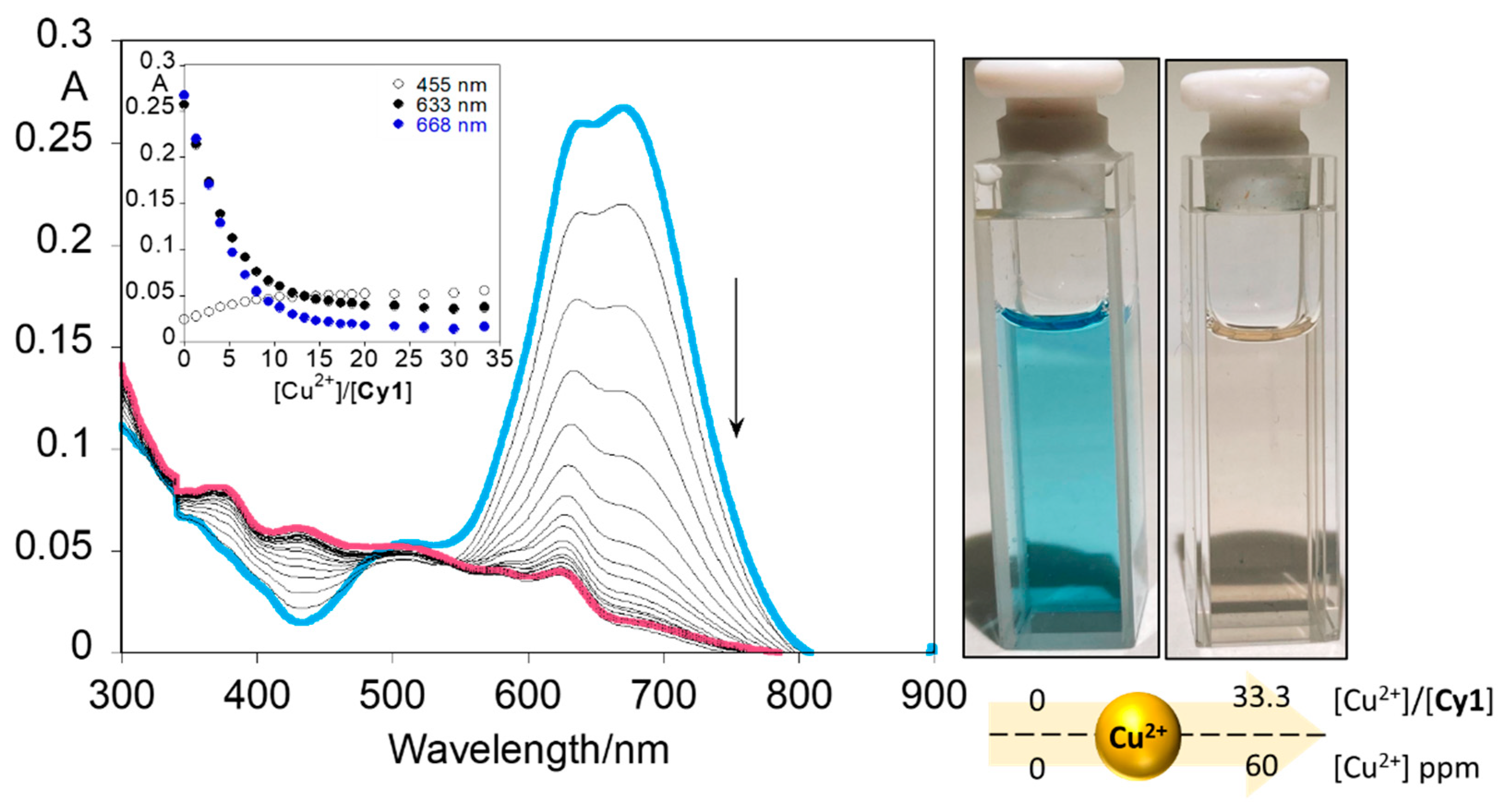 Chemosensors 10 00080 g007