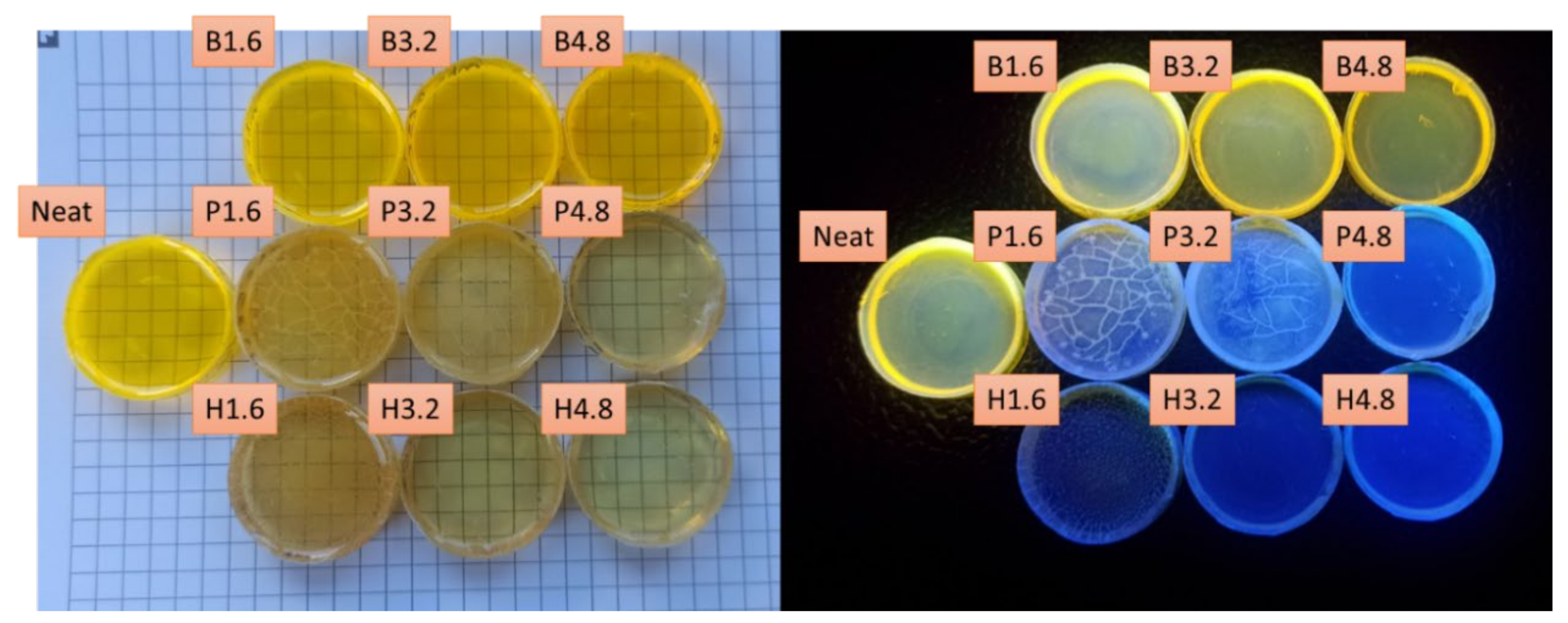 Chemosensors 10 00086 g005 550