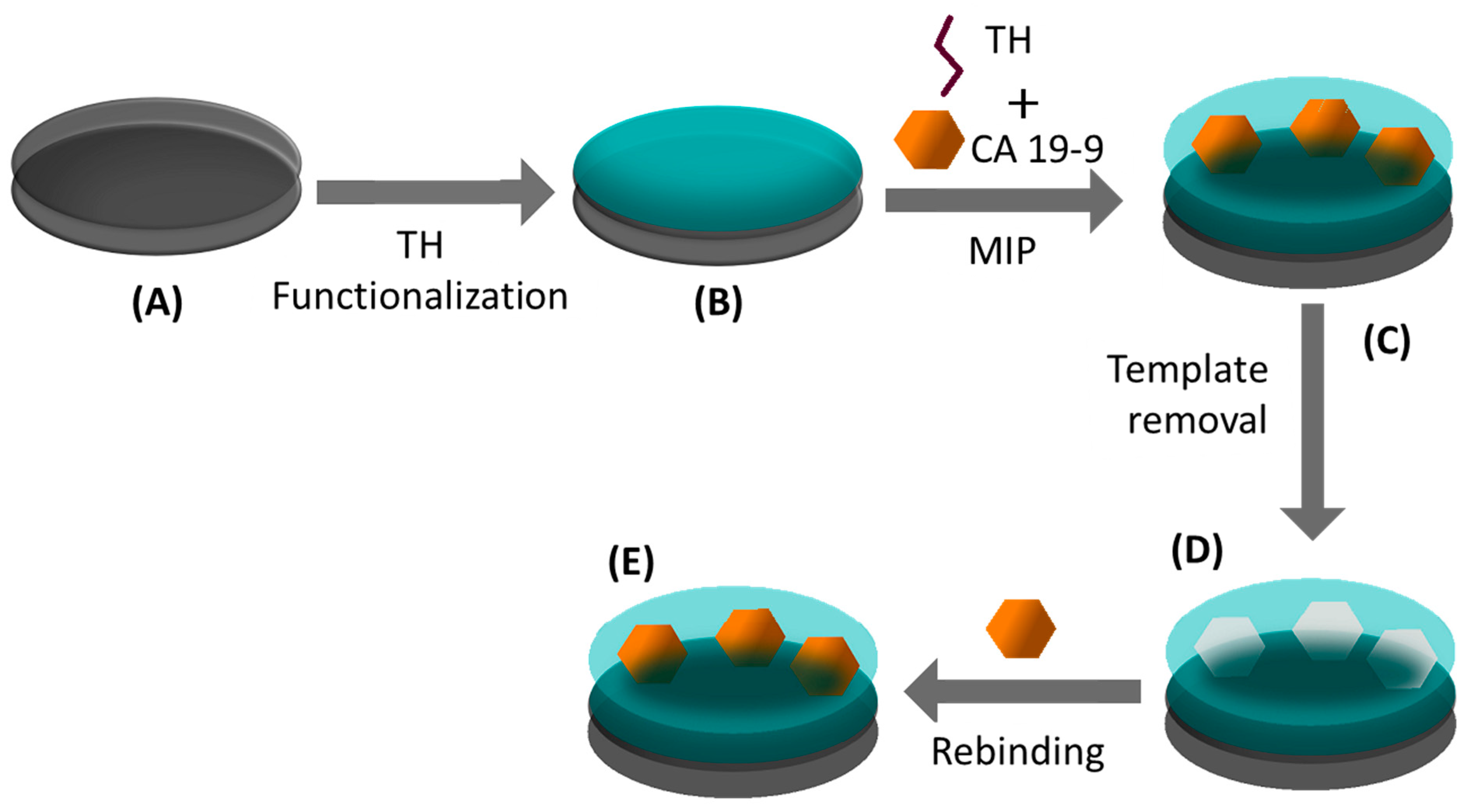 Chemosensors 10 00092 g001 550
