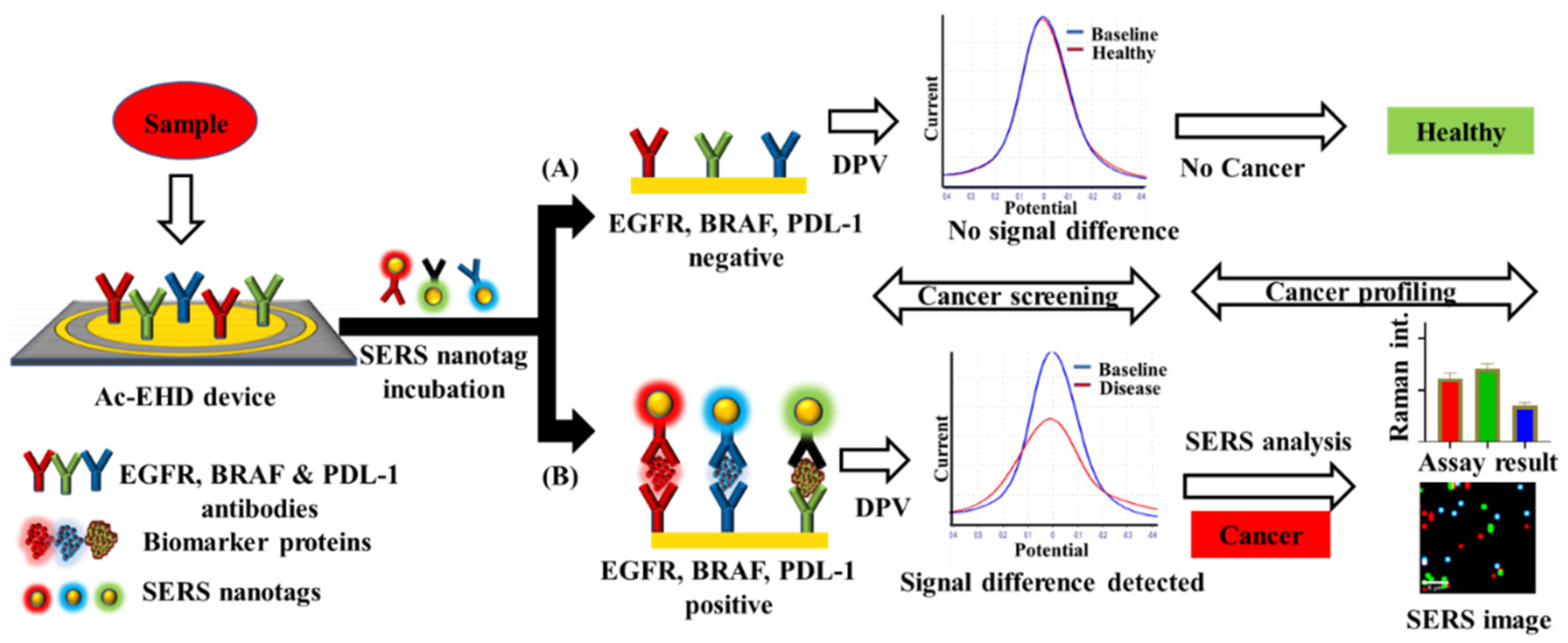 Chemosensors 10 00093 g001