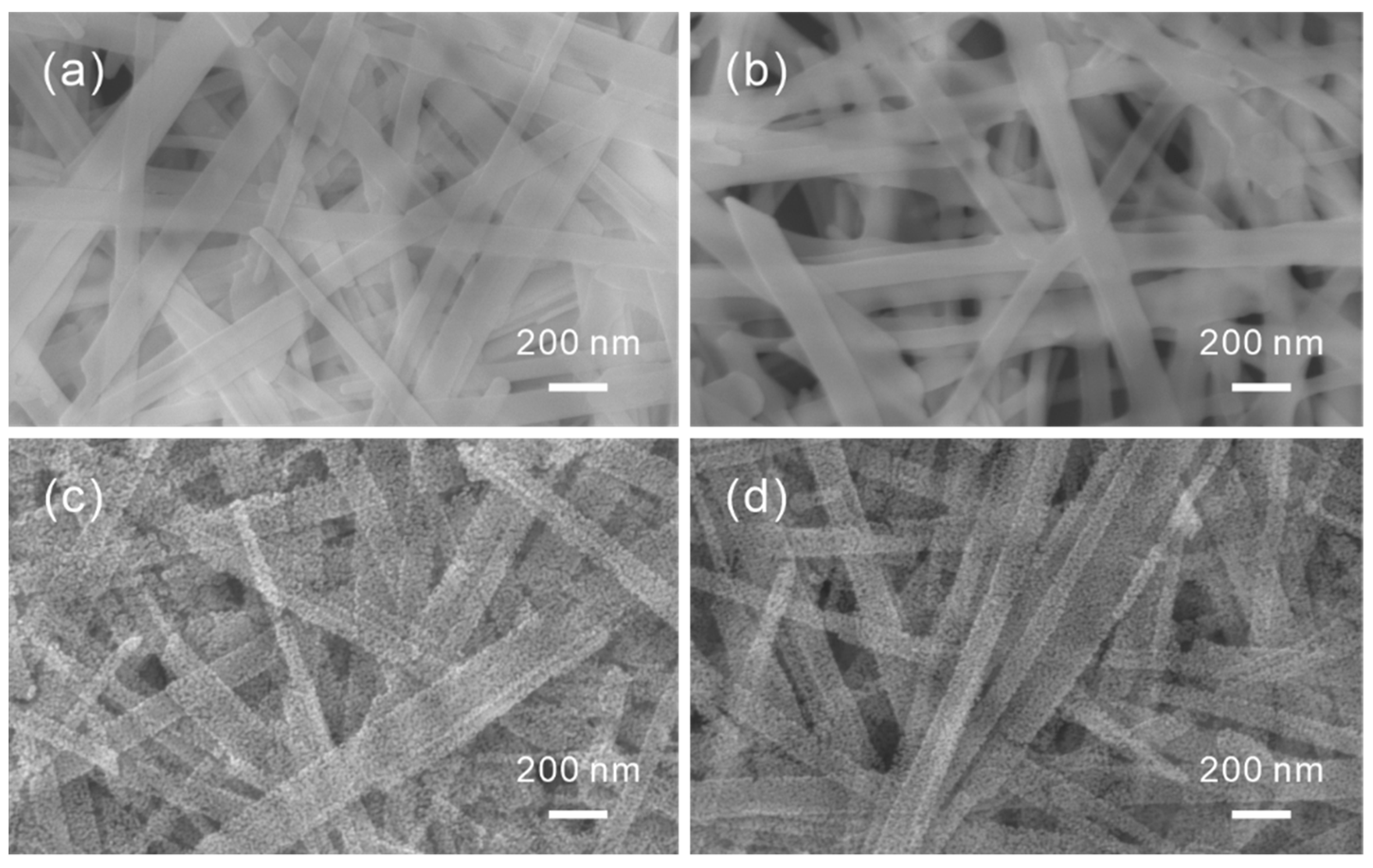 Chemosensors 10 00096 g001