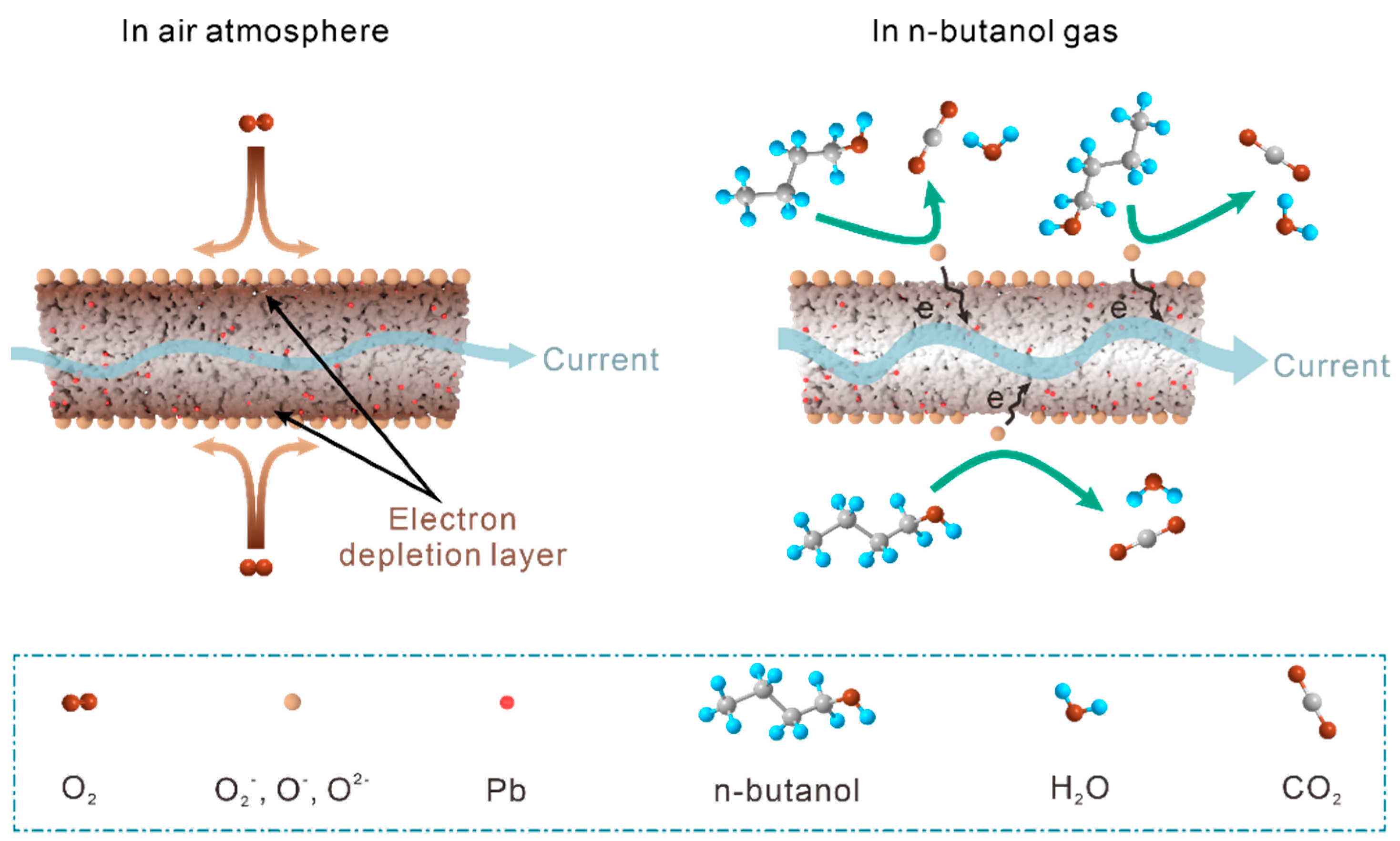 Chemosensors 10 00096 g008