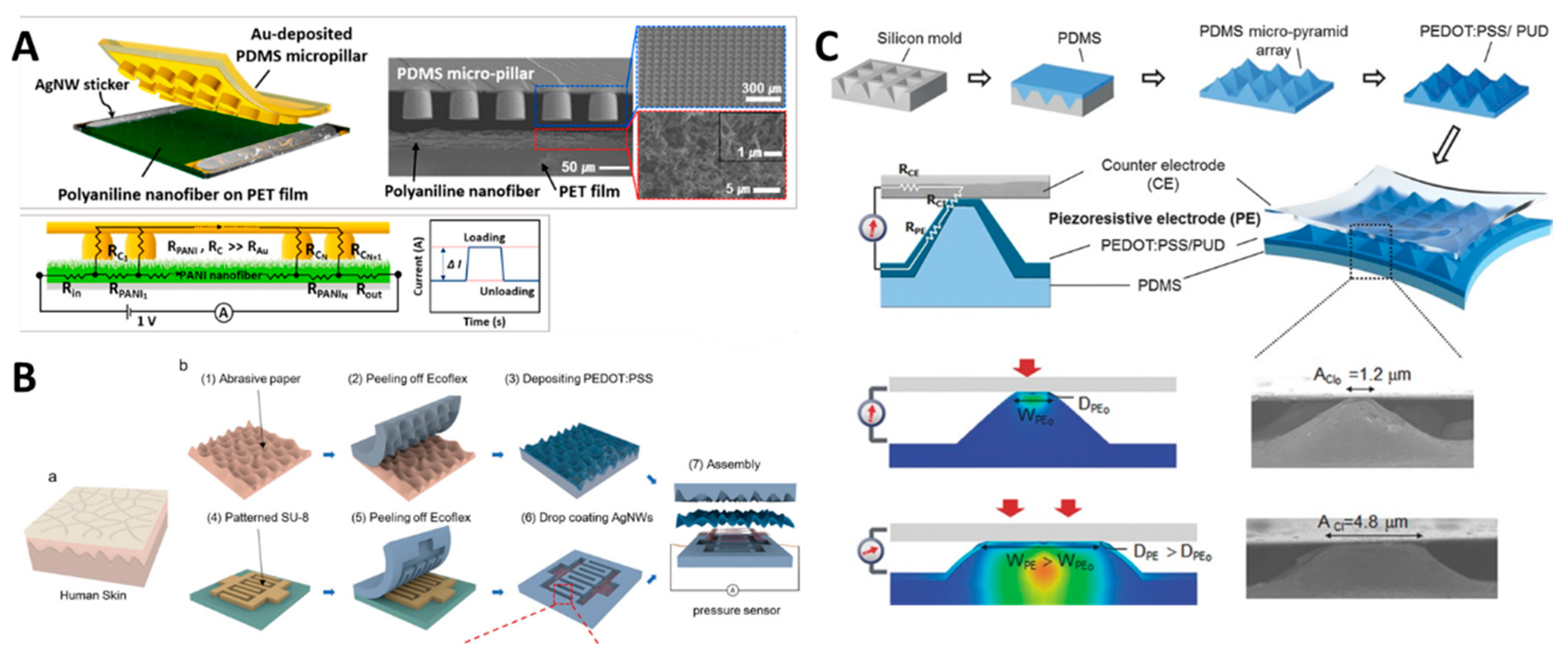 Chemosensors 10 00097 g004