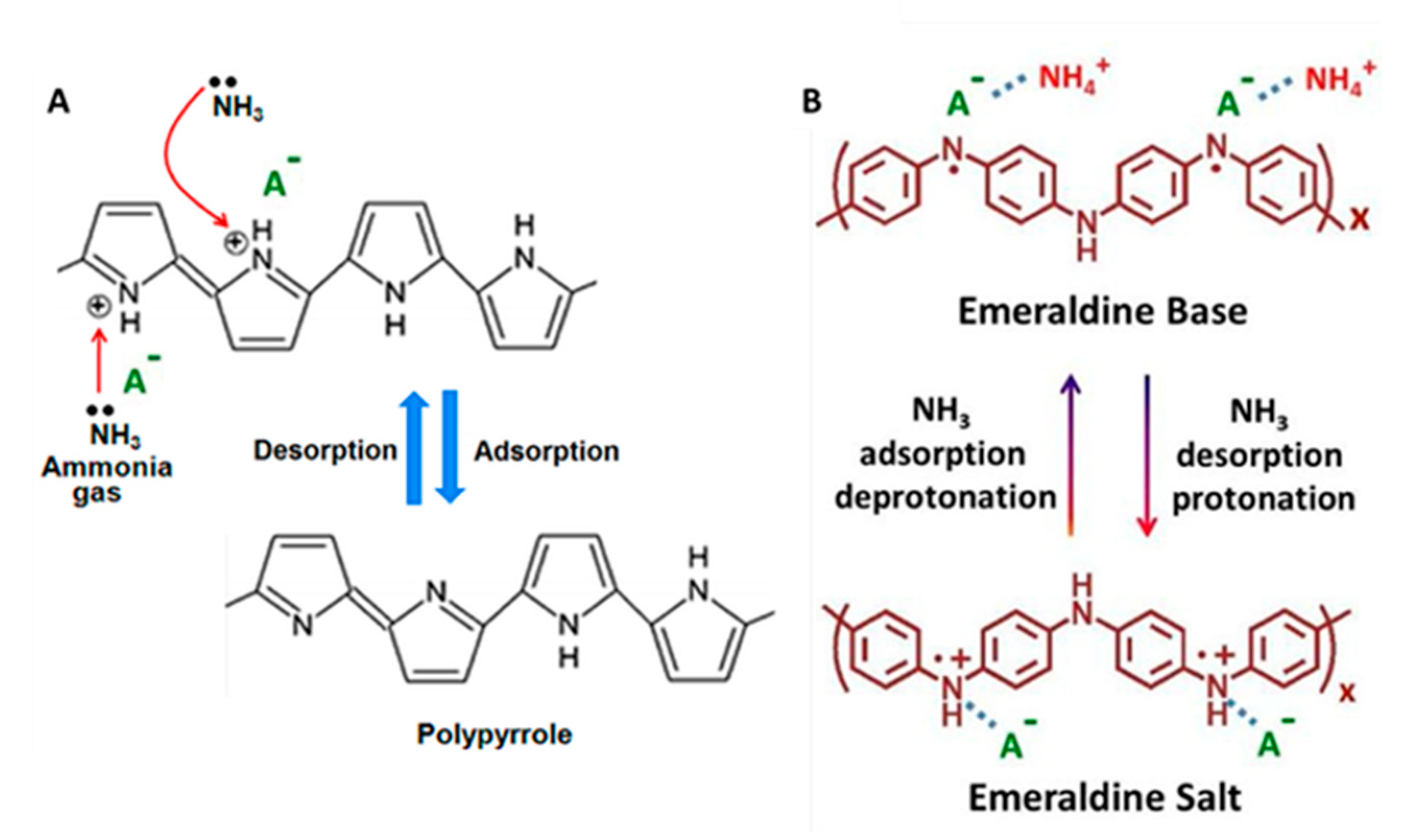 Chemosensors 10 00097 g005