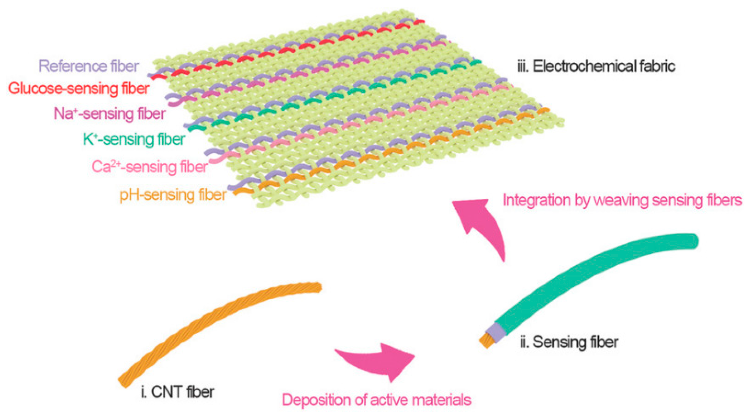 Chemosensors 10 00097 g007