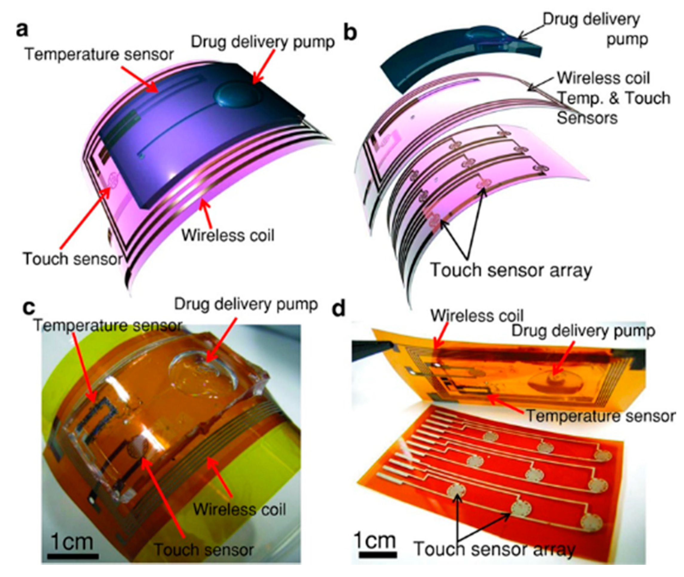 Chemosensors 10 00097 g008