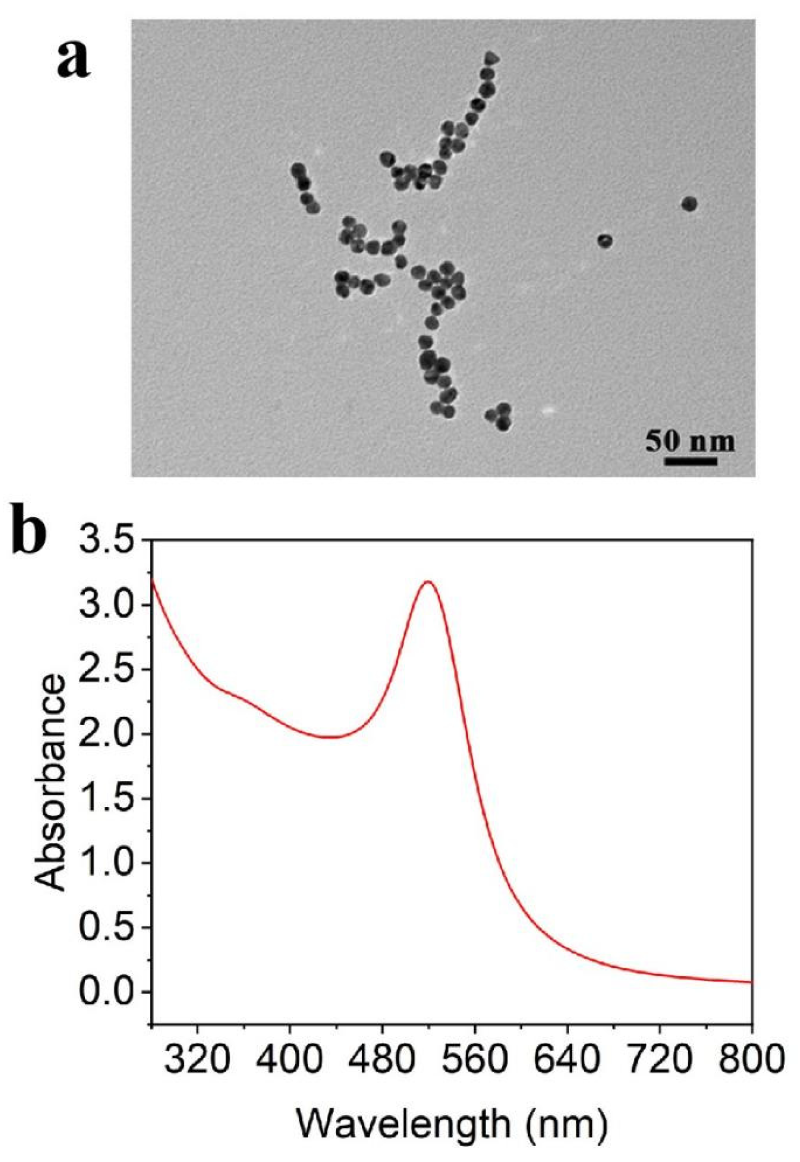 Chemosensors 10 00100 g001 550