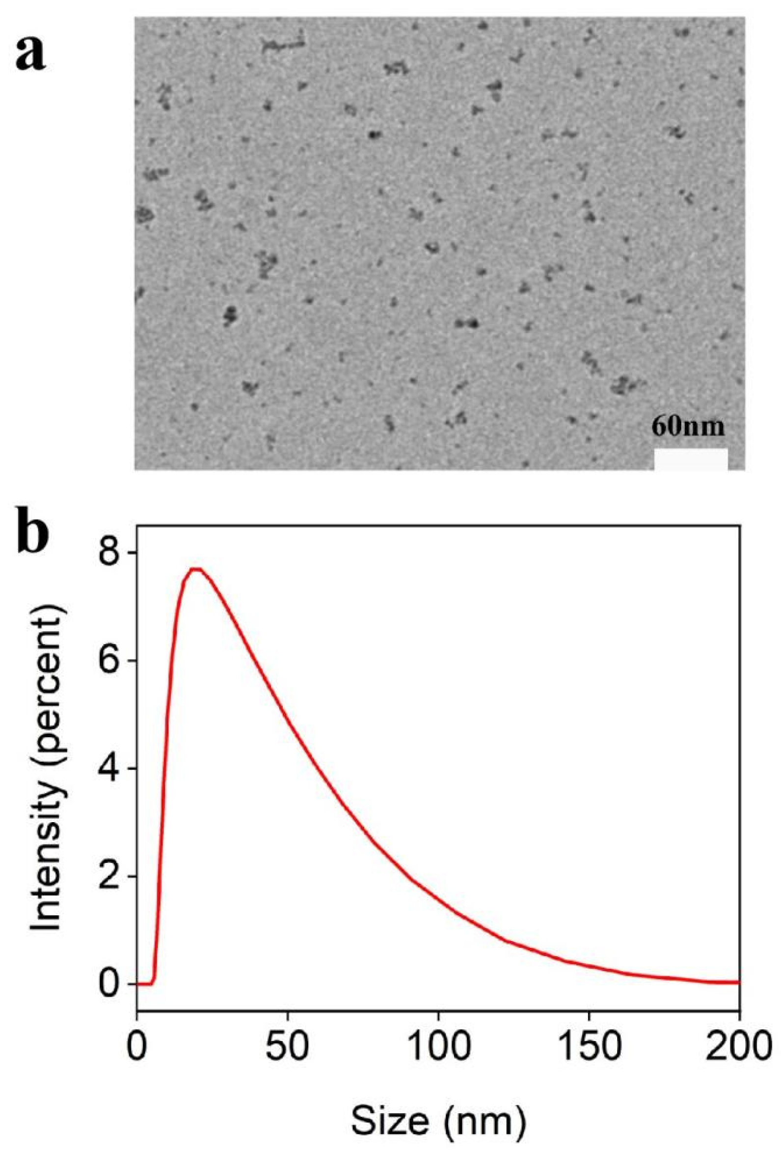 Chemosensors 10 00100 g002 550