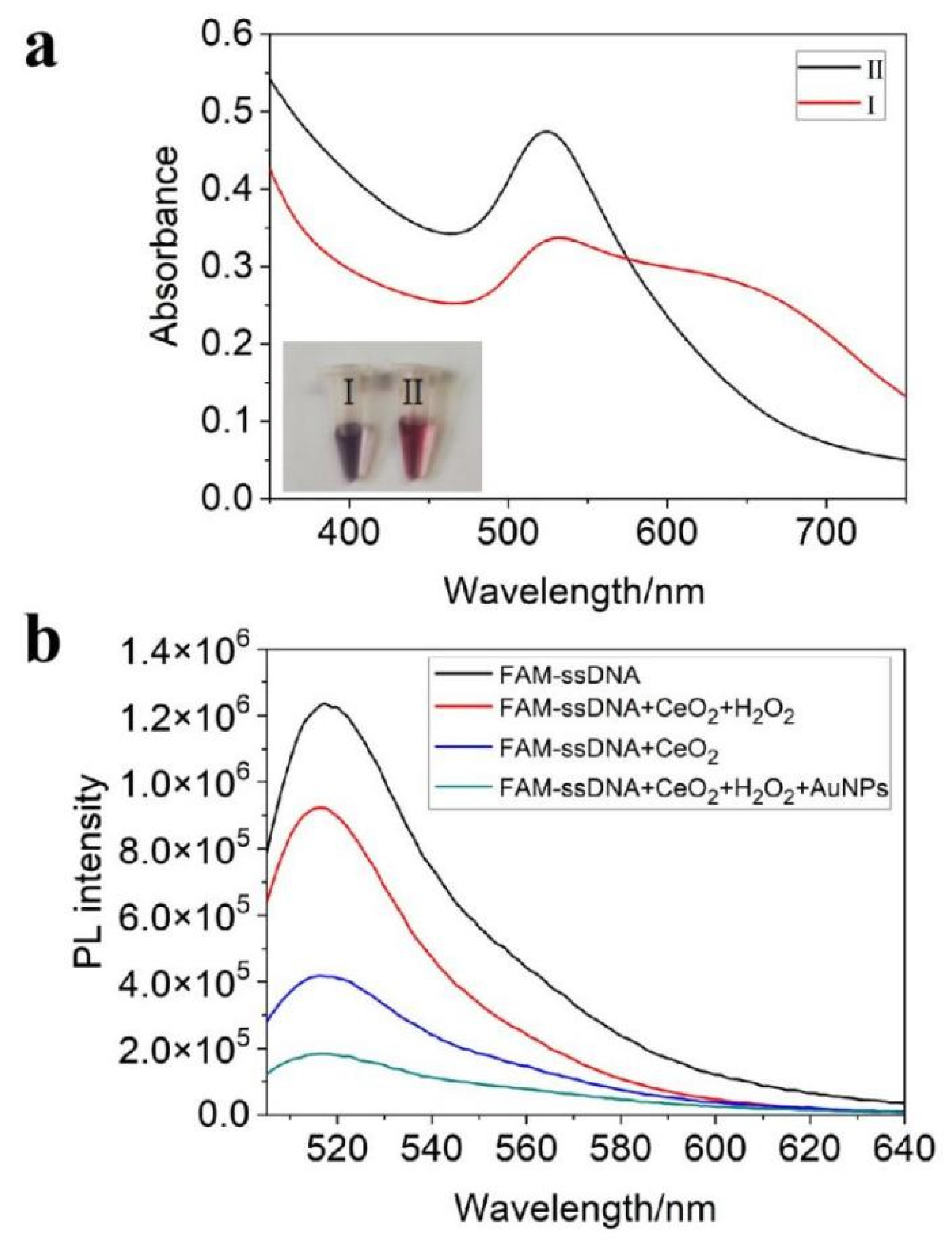 Chemosensors 10 00100 g003 550
