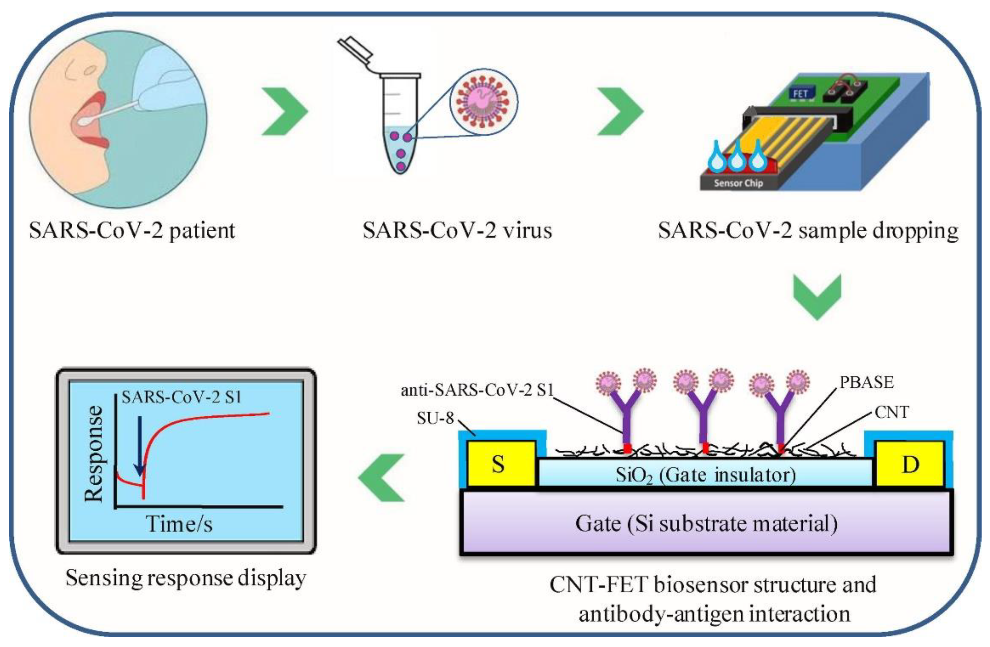 Chemosensors 10 00103 g004 Chemosensors 10 00103 g004