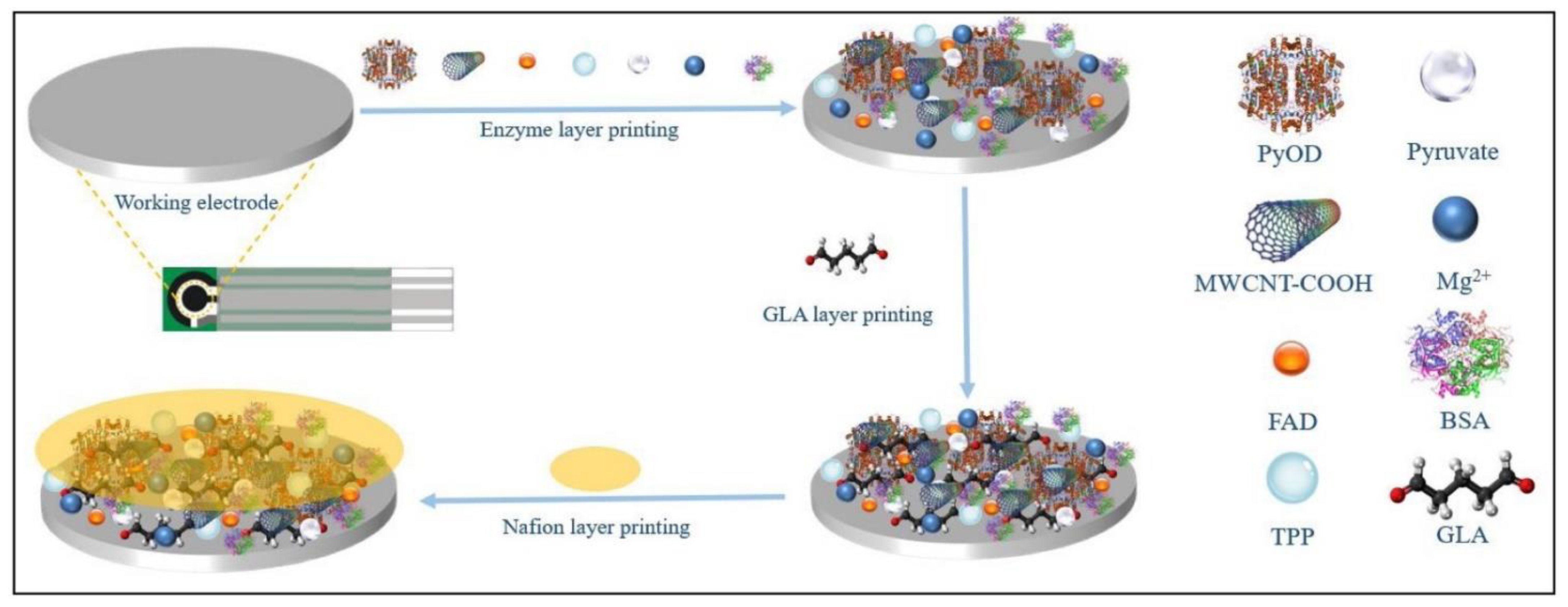 Chemosensors 10 00103 g006 Chemosensors 10 00103 g006
