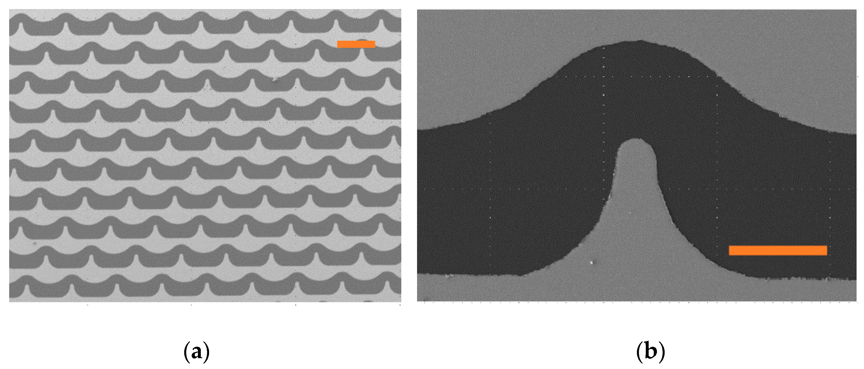 Chemosensors 10 00104 g001 550