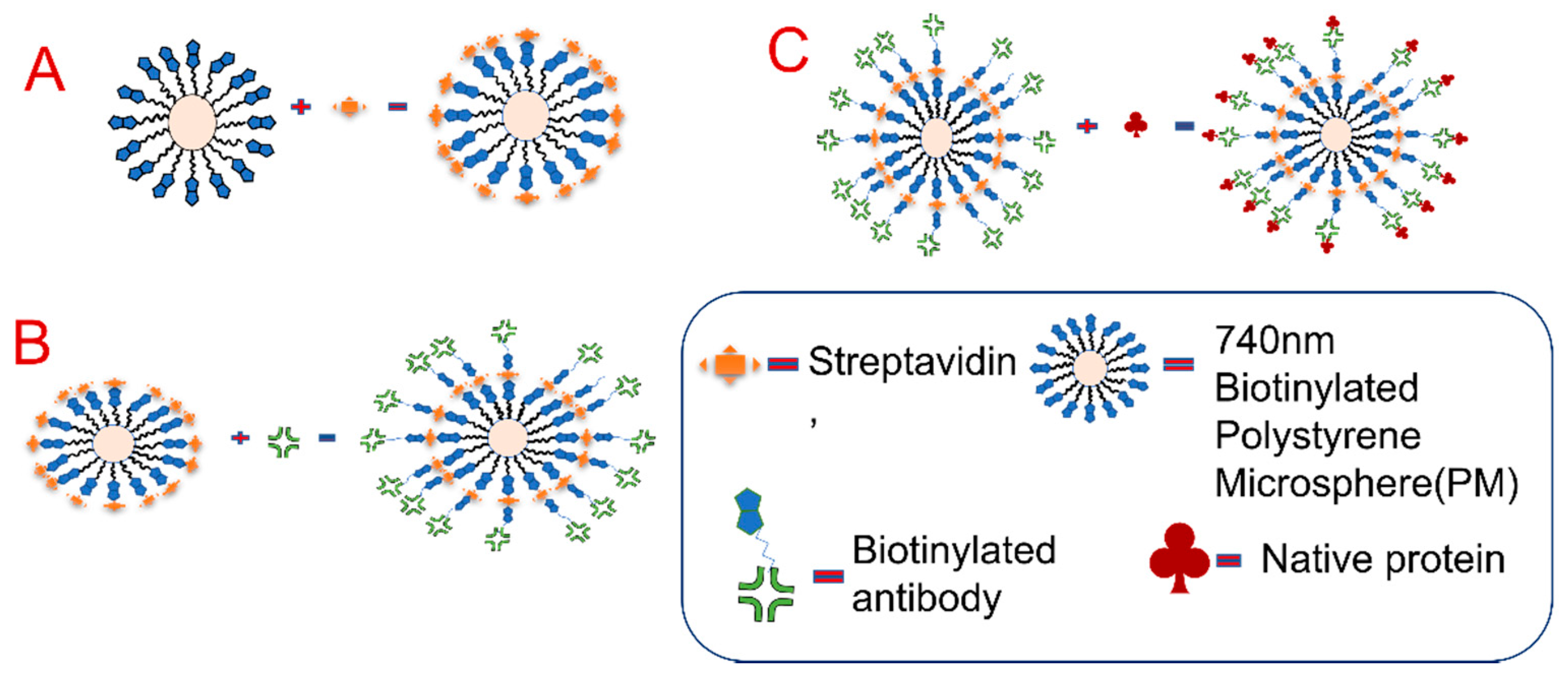 Chemosensors 10 00104 g002 550